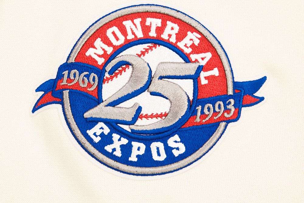 Pro Standard Men's Montreal Expos Fleece Pullover Hoodie product image