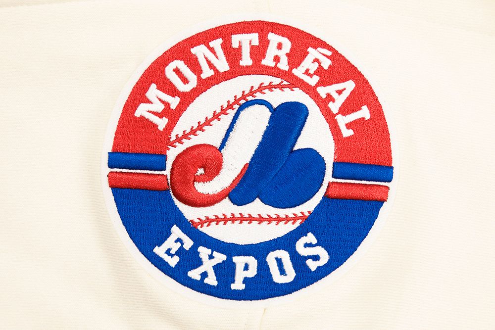 Pro Standard Men's Montreal Expos Fleece Pullover Hoodie product image