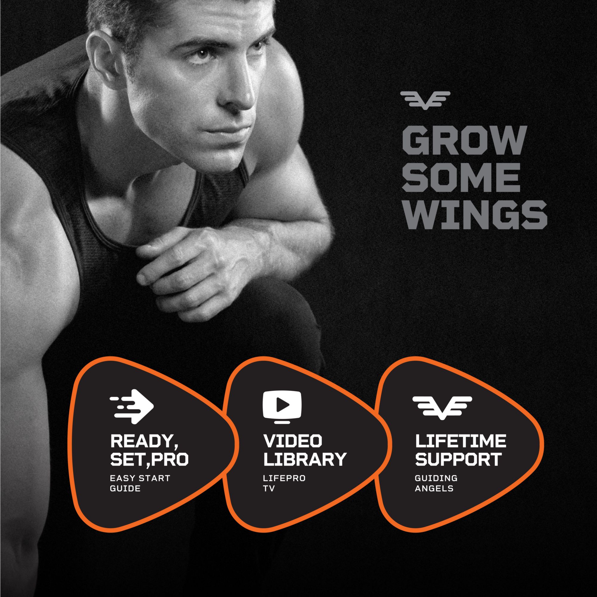 Lifepro Agility Ball product image