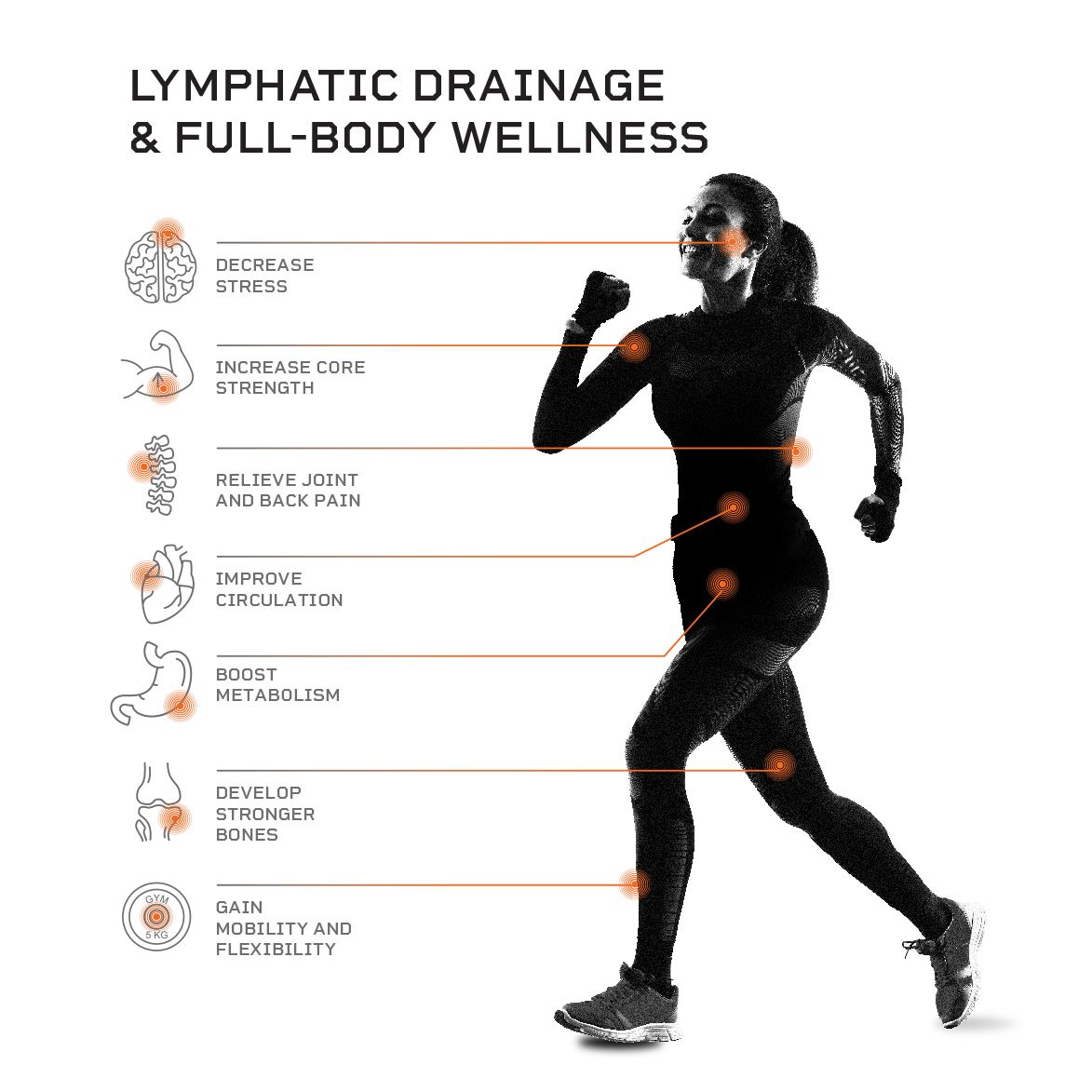 Lifepro Waver Mini Vibration Plate product image