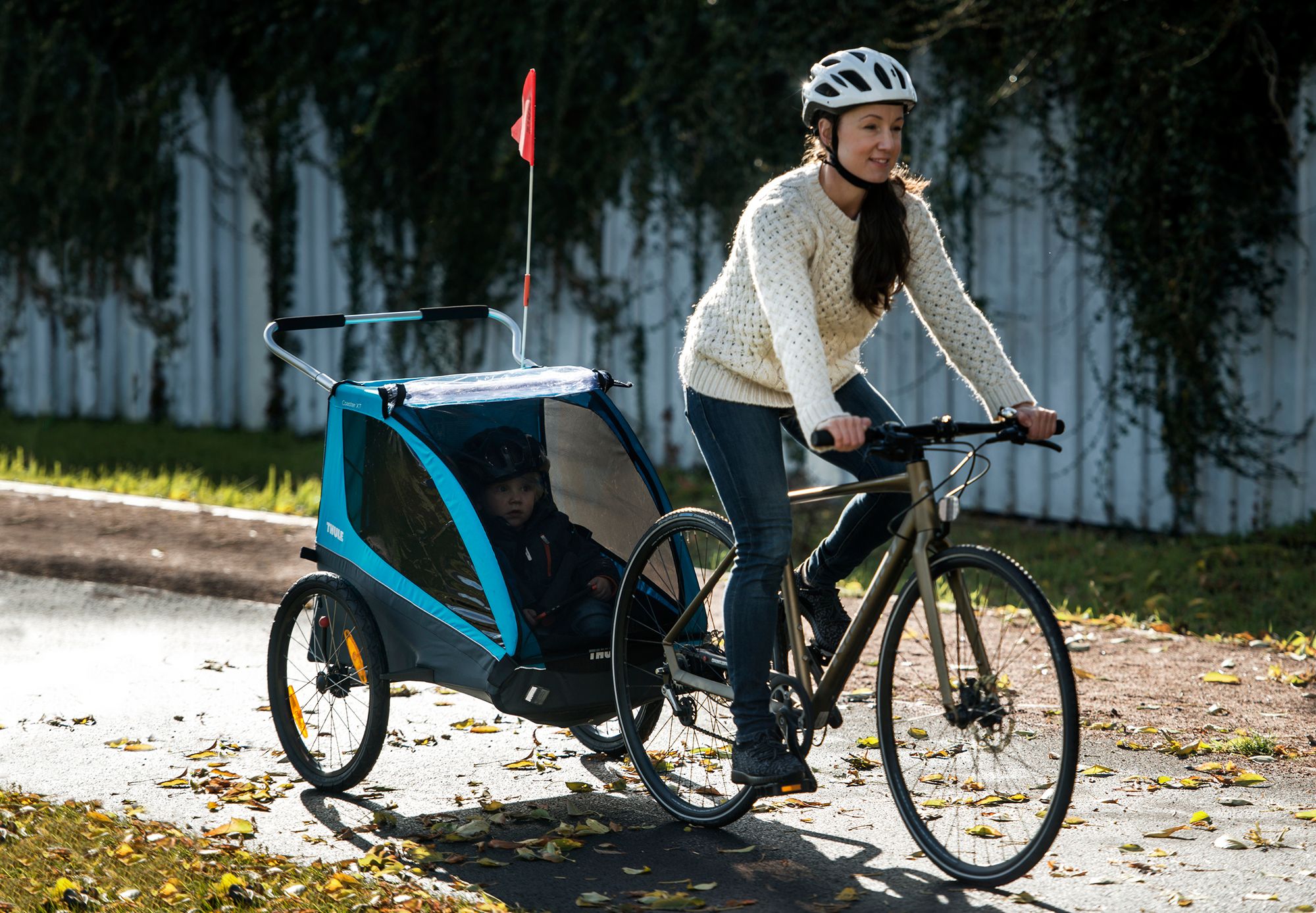 Thule Coaster XT Bike Trailer and Stroller product image