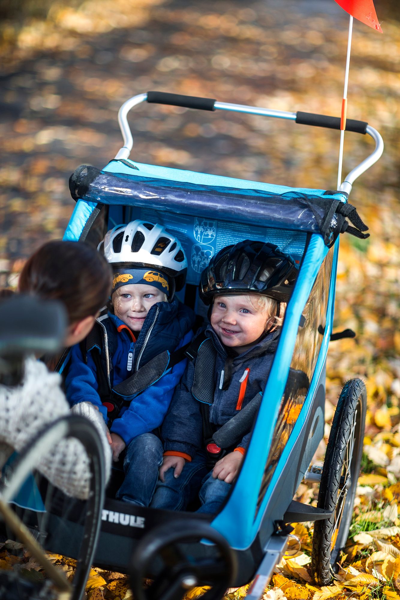 Thule Coaster XT Bike Trailer and Stroller product image
