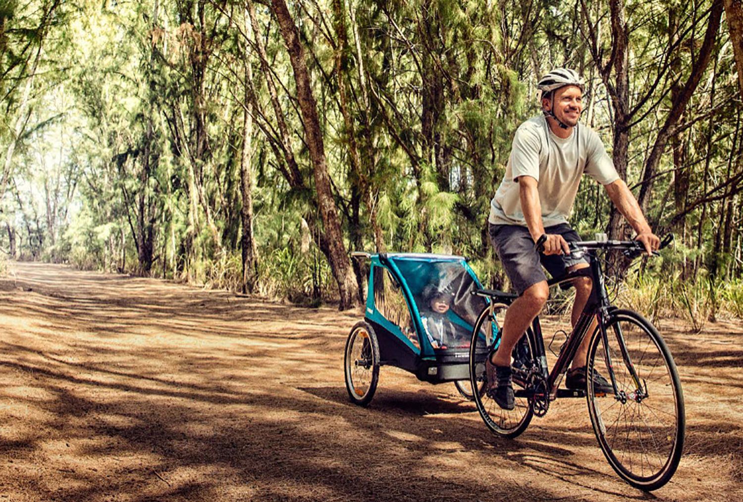 Thule Coaster XT Bike Trailer and Stroller product image