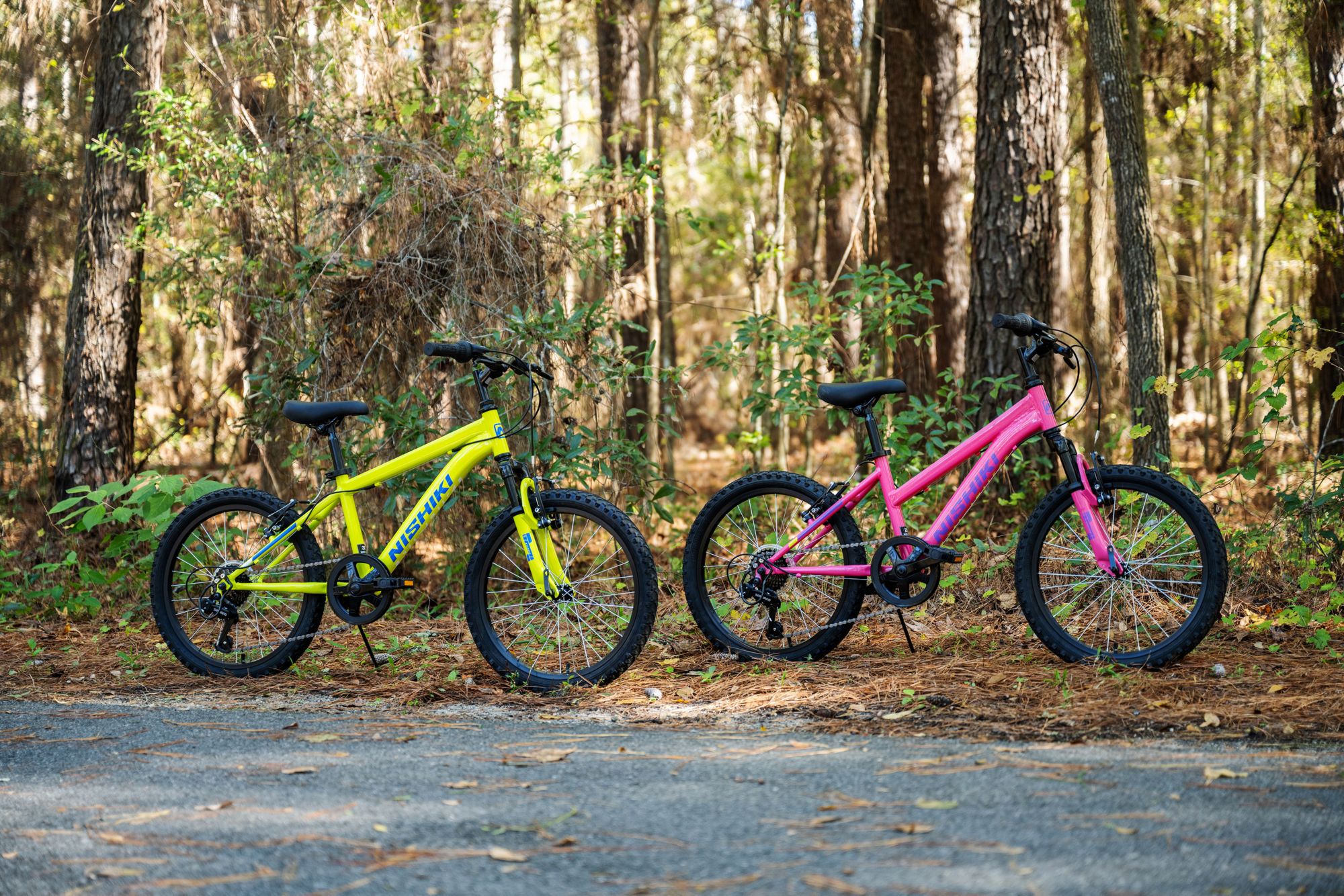 Nishiki Boys' Pueblo 20" Mountain Bike product image