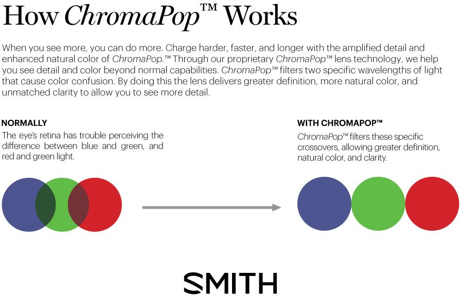 SMITH Unisex PROXY Snow Goggles product image
