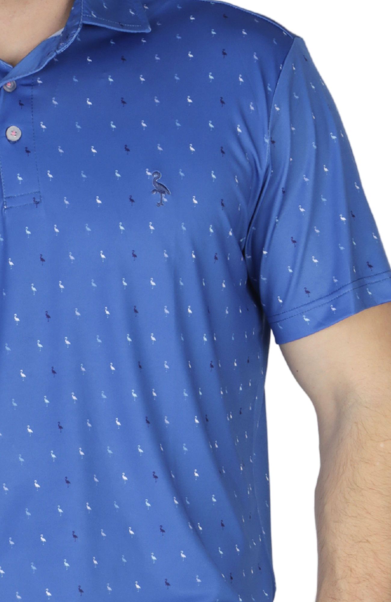 Tailorbyrd Men's Byrds Performance Polo product image