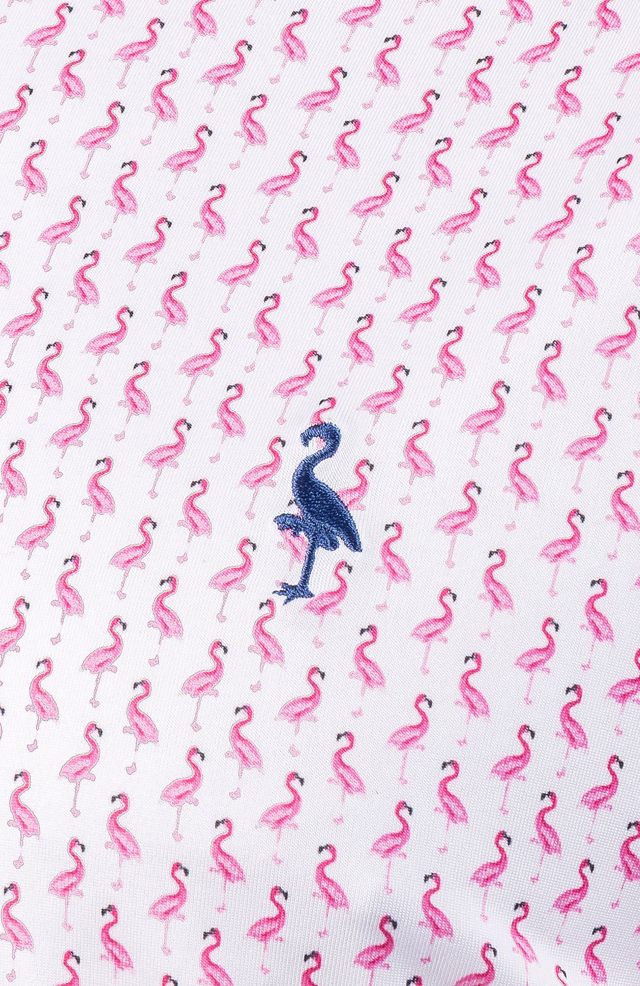 TailorByrd Men's Flamingos Performance Polo product image