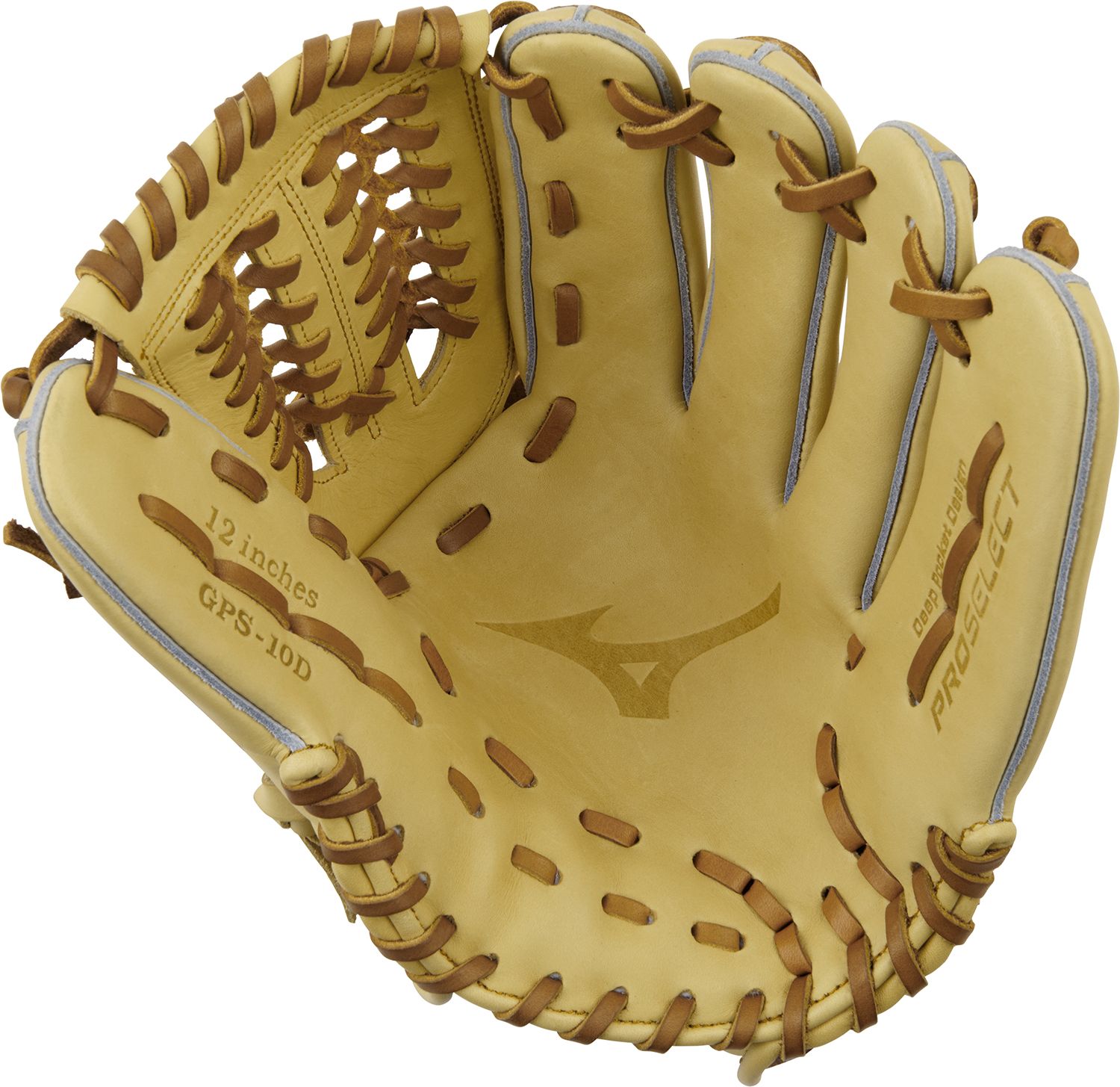 Mizuno 12” Pro Select Series Glove product image