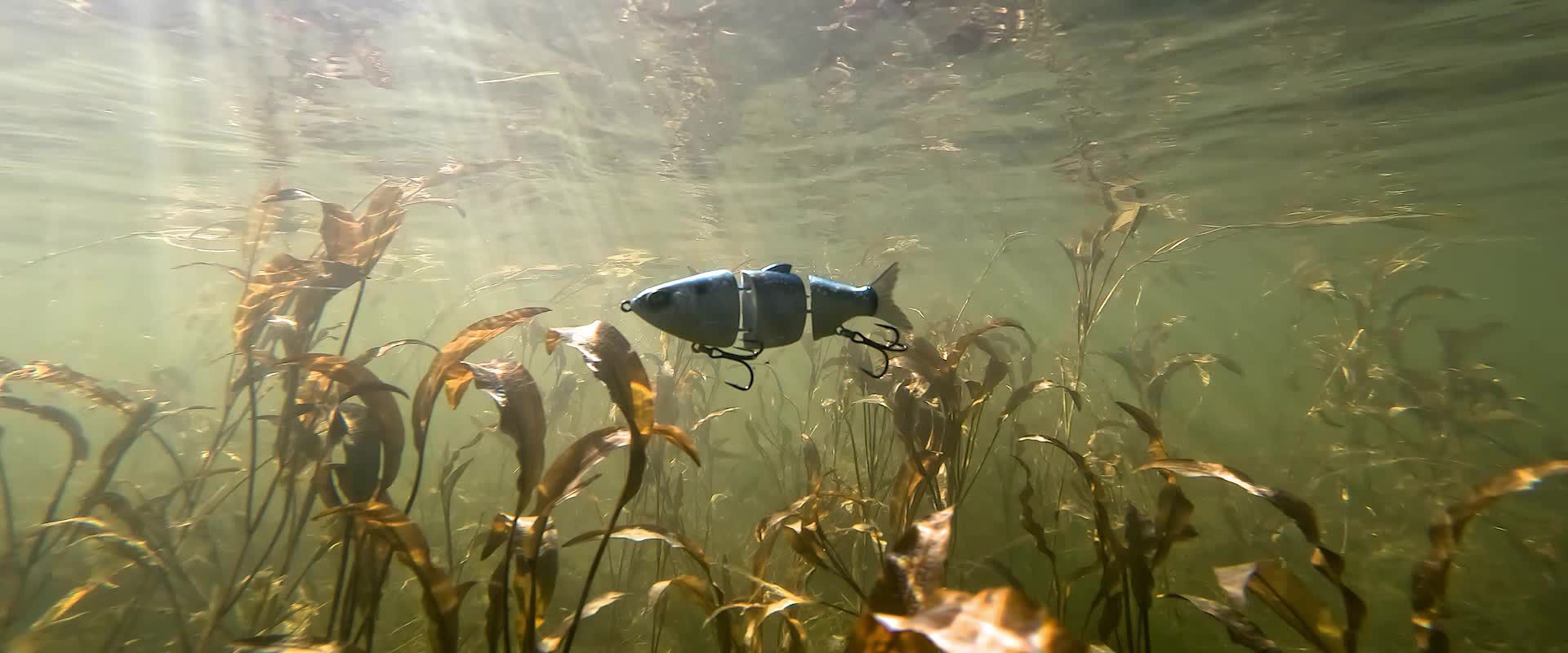 Mach MachShad Swimbait product