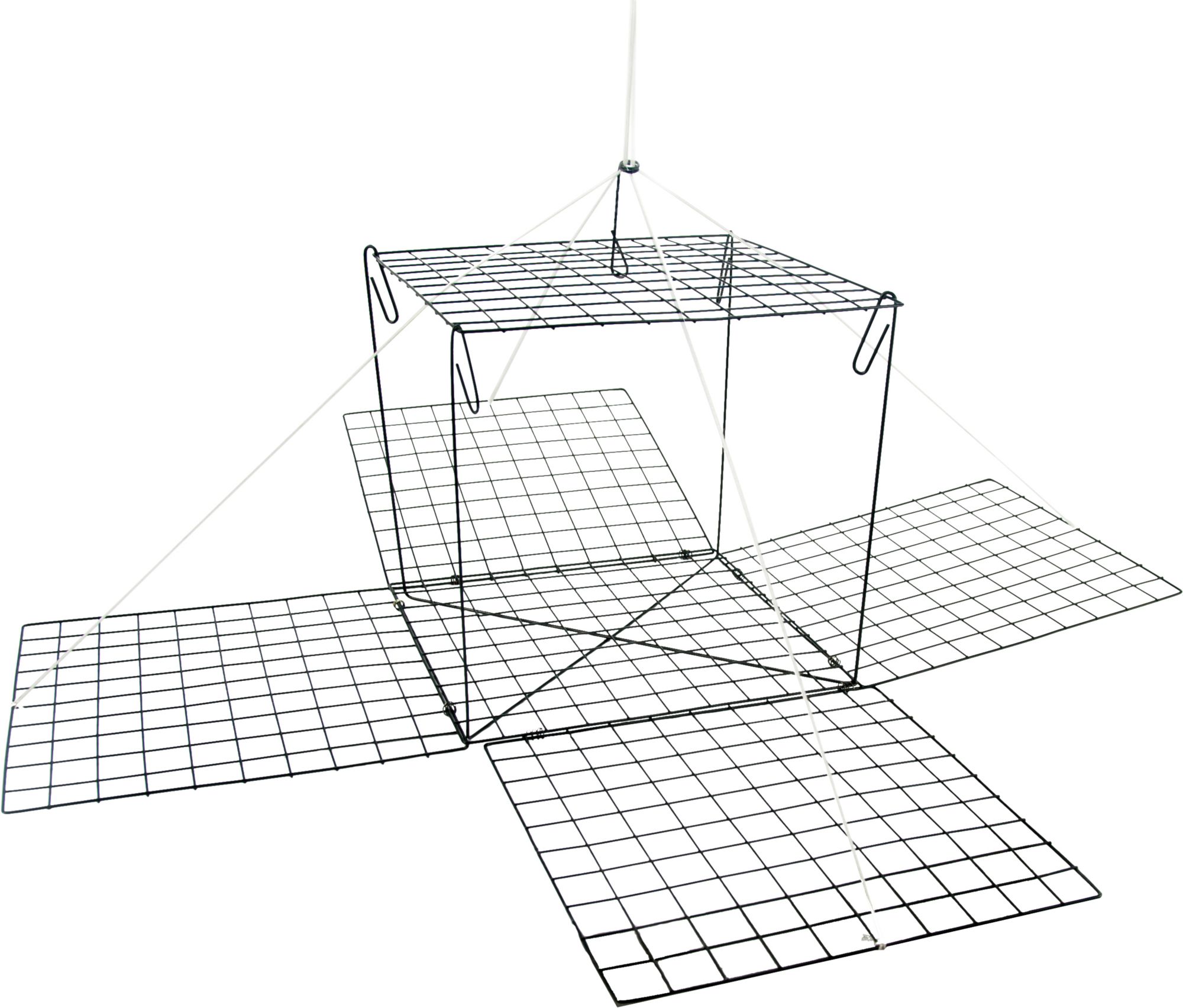 Dick's Sporting Goods Marathon Box Crab Trap