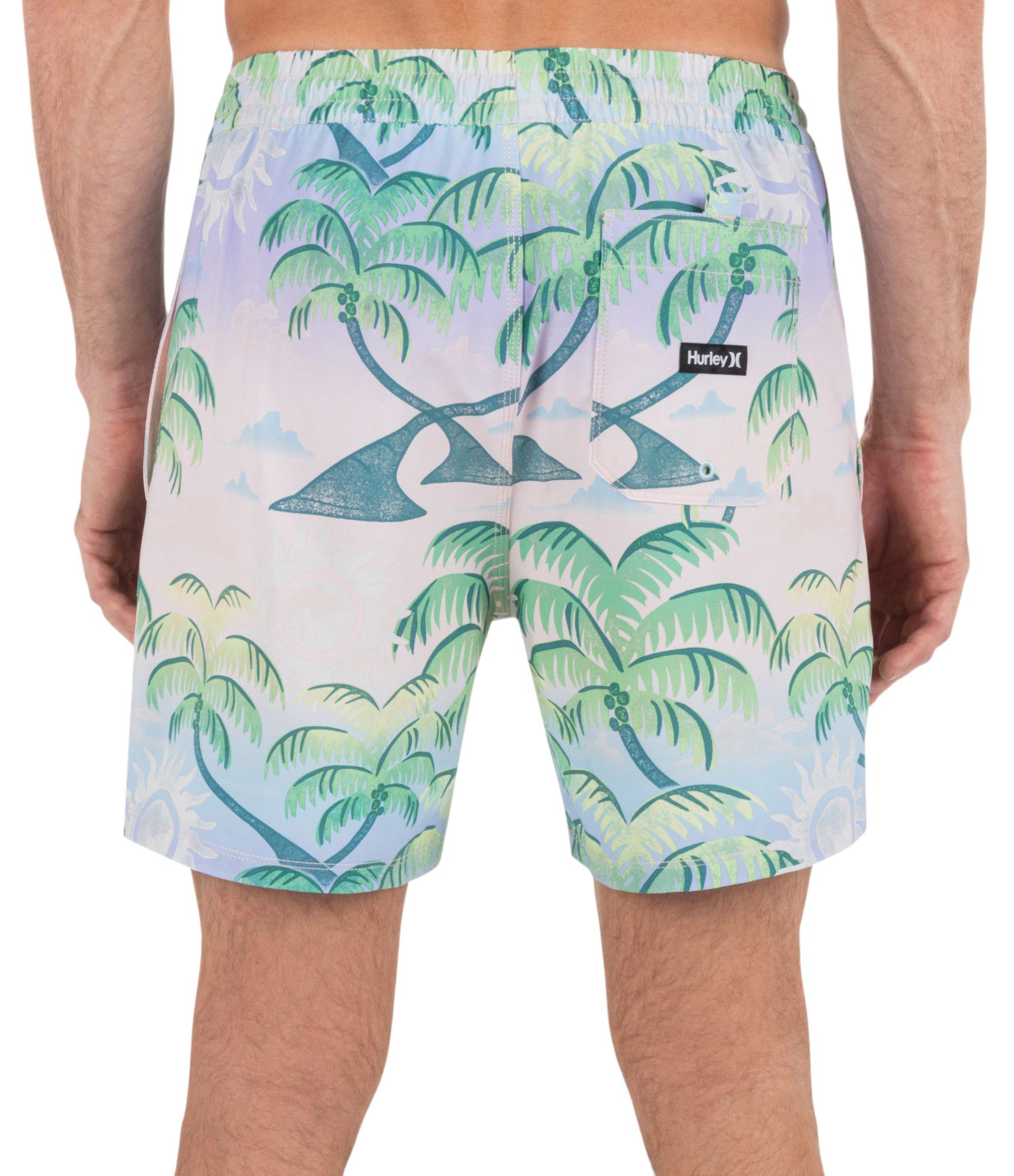 Hurley Men's Cannonball 17" Swim Trunks product image
