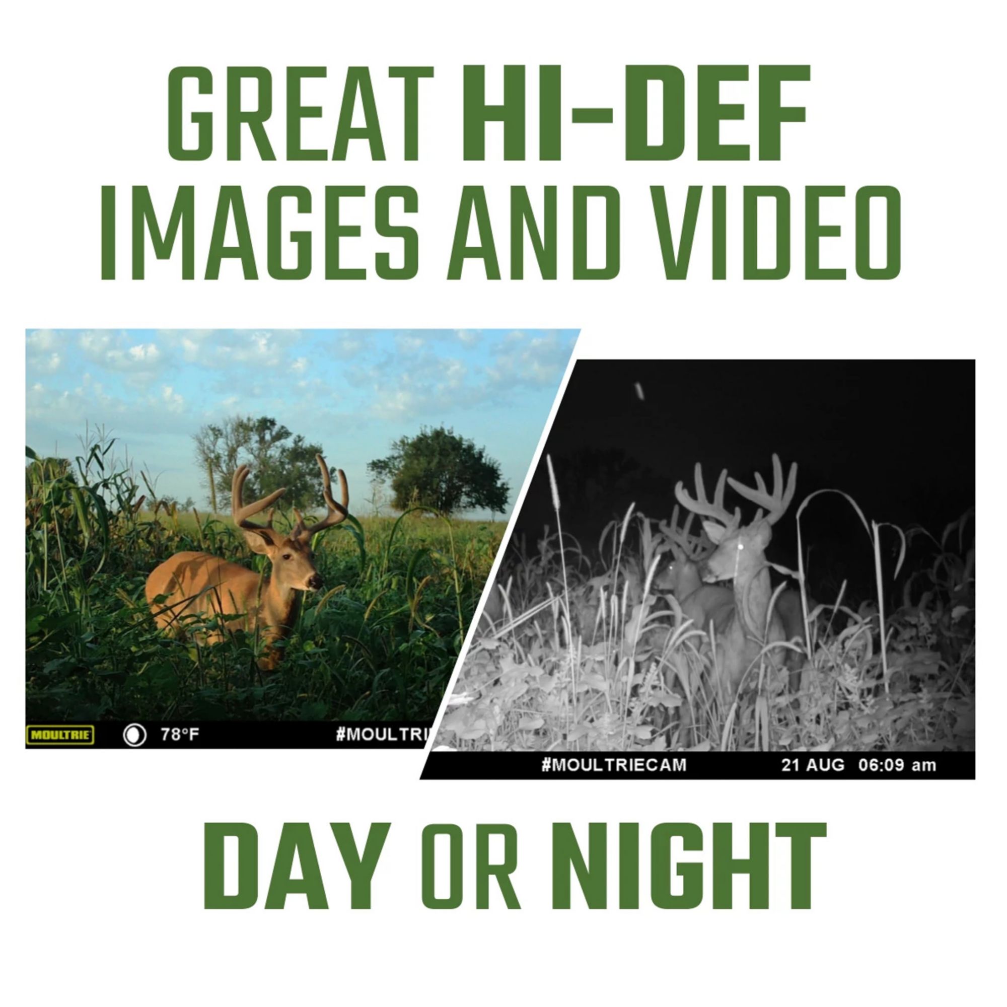 Moultrie Mobile Delta Cellular Trail Camera – 32MP product image