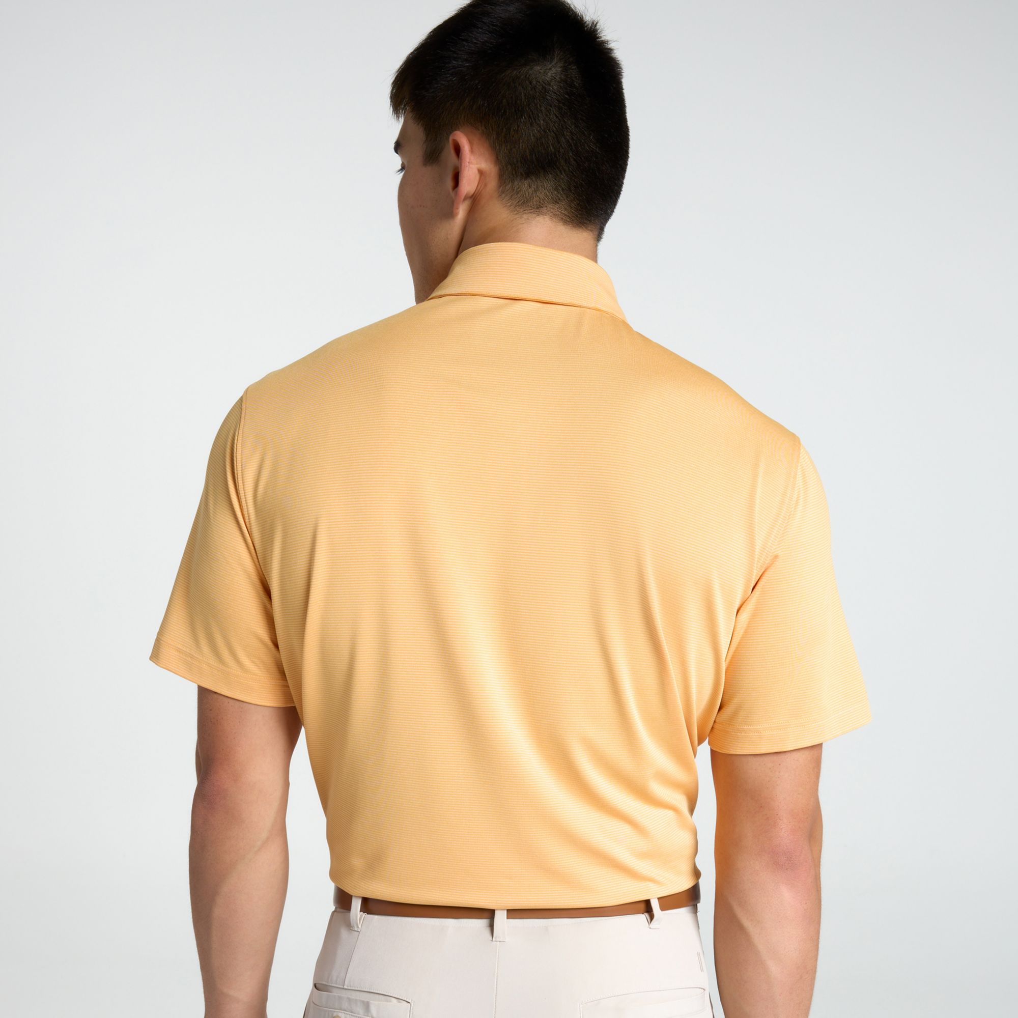 Walter Hagen Men's Performance 11 Champ Stripe Golf Polo product image