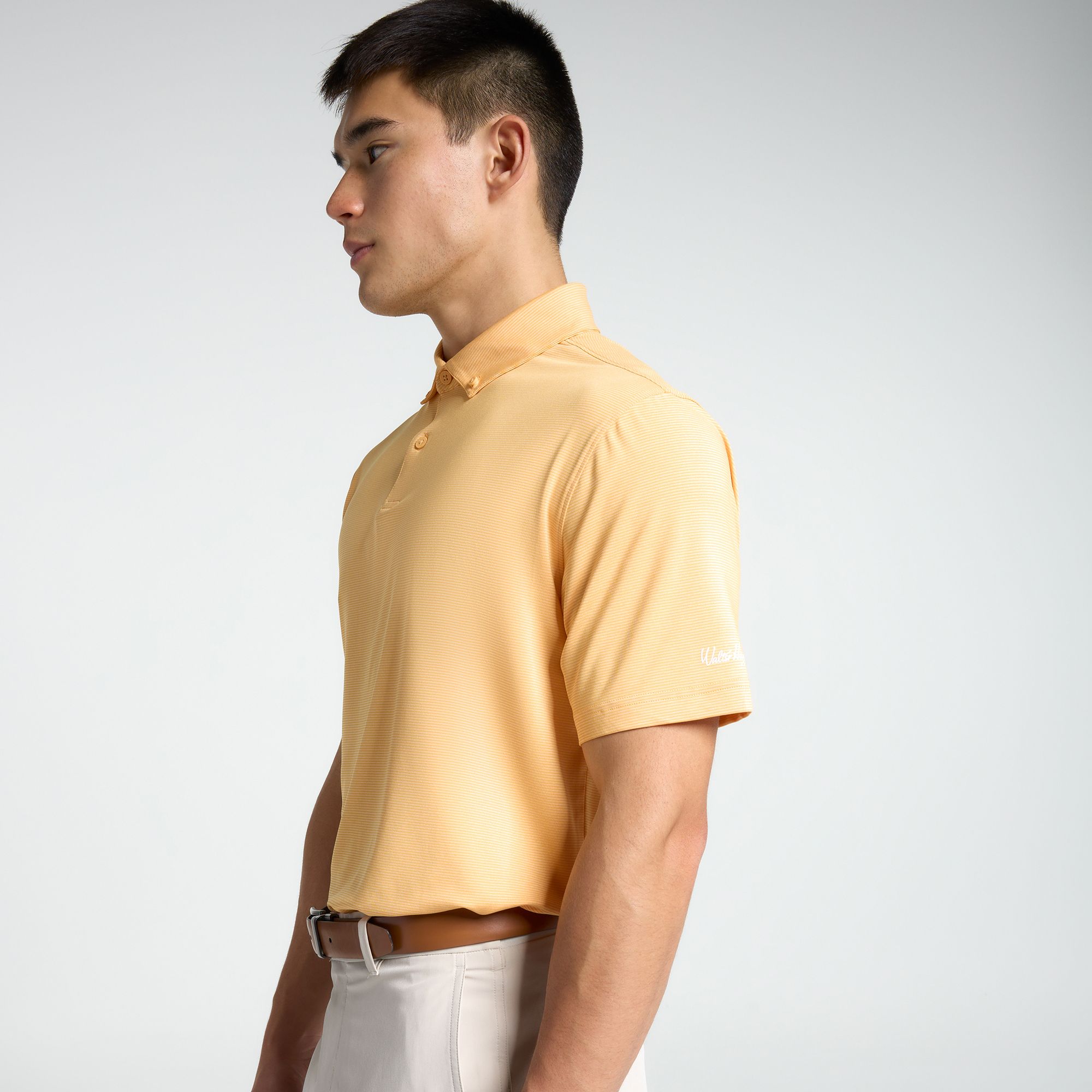 Walter Hagen Men's Performance 11 Champ Stripe Golf Polo product image