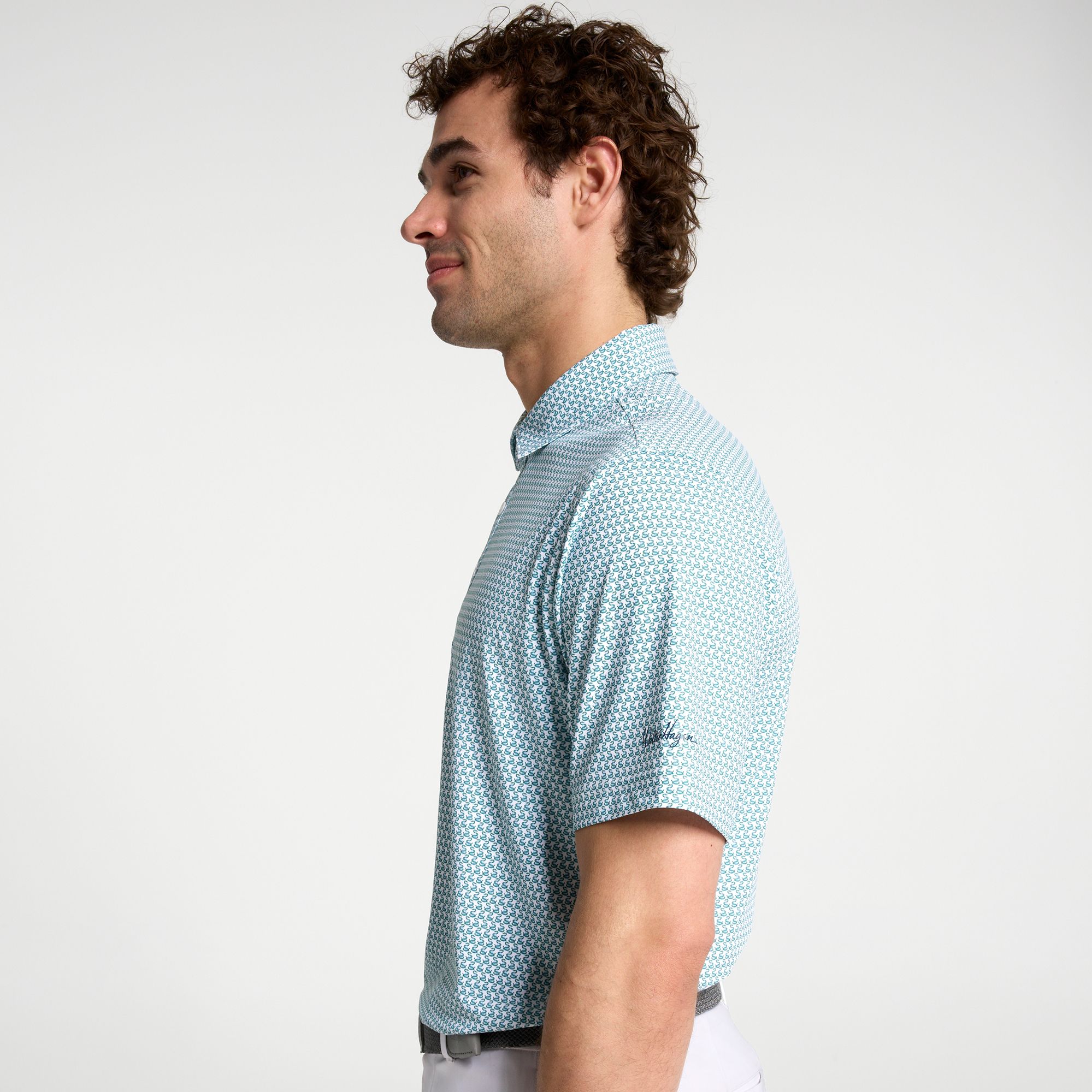 Walter Hagen Men's Performance 11 Novelty Print Golf Polo product image