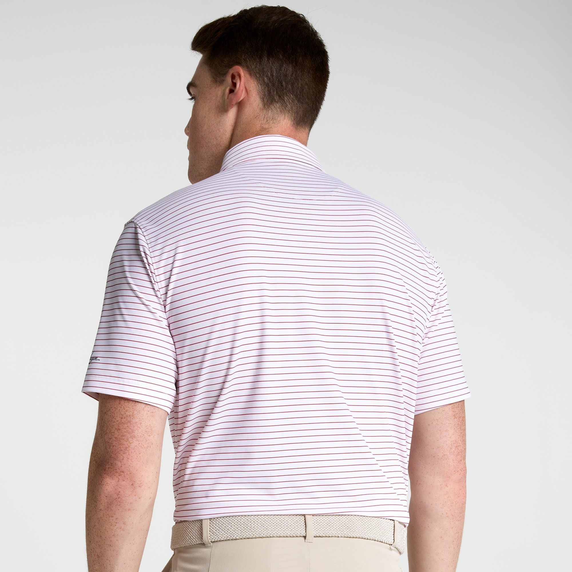 Walter Hagen Men's Performance 11 Classic Stripe Tailgate Polo product image