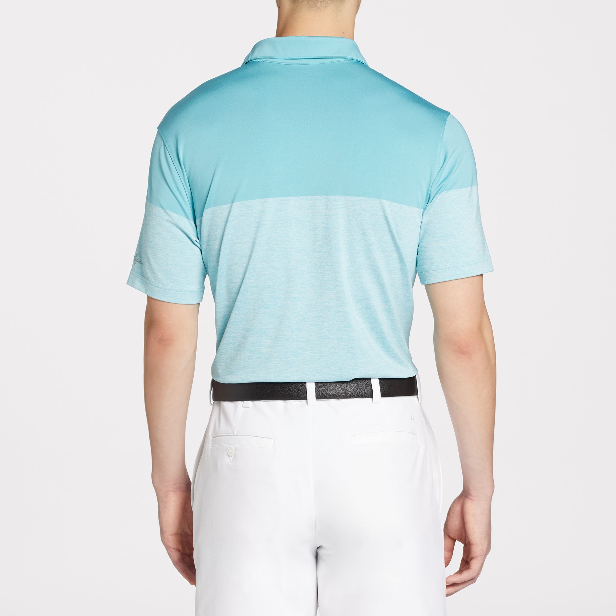 Walter Hagen Men's Performance 11 Fashion Print Golf Polo product image