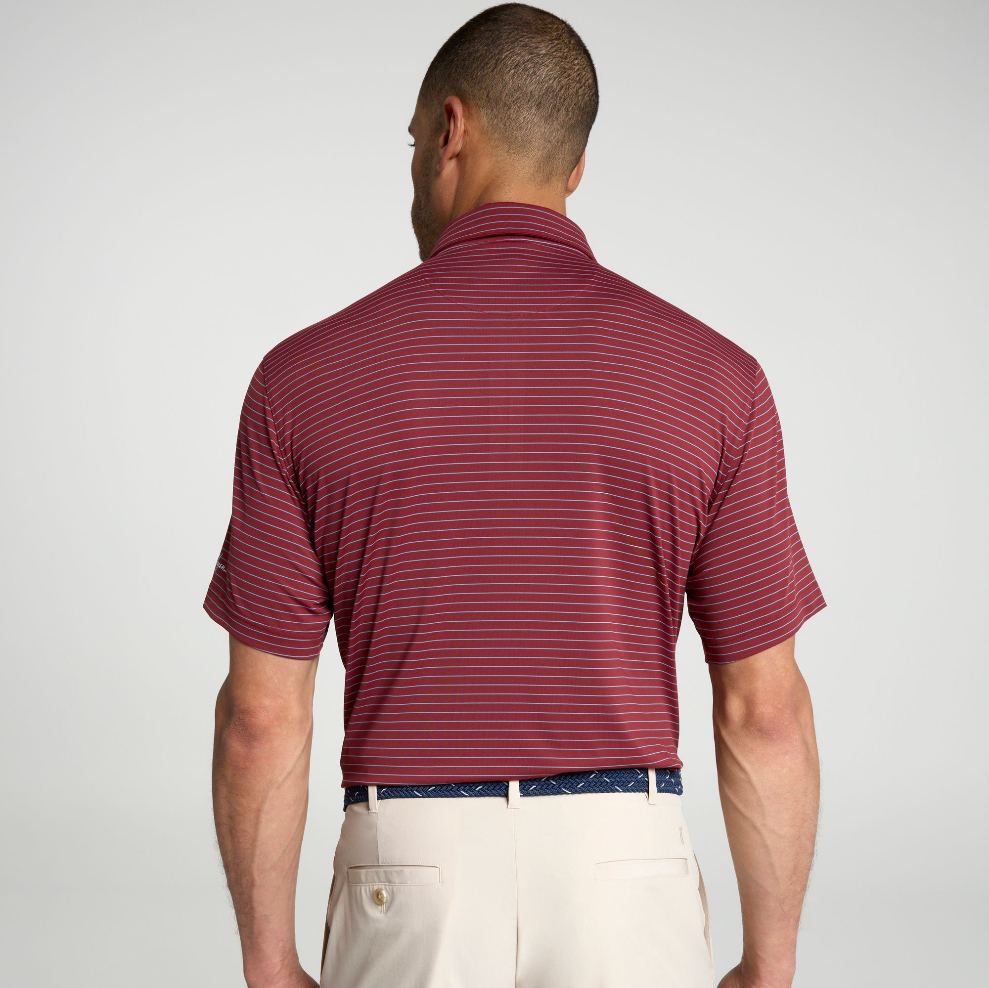 Walter Hagen Men's Performance 11 Classic Stripe Polo product image