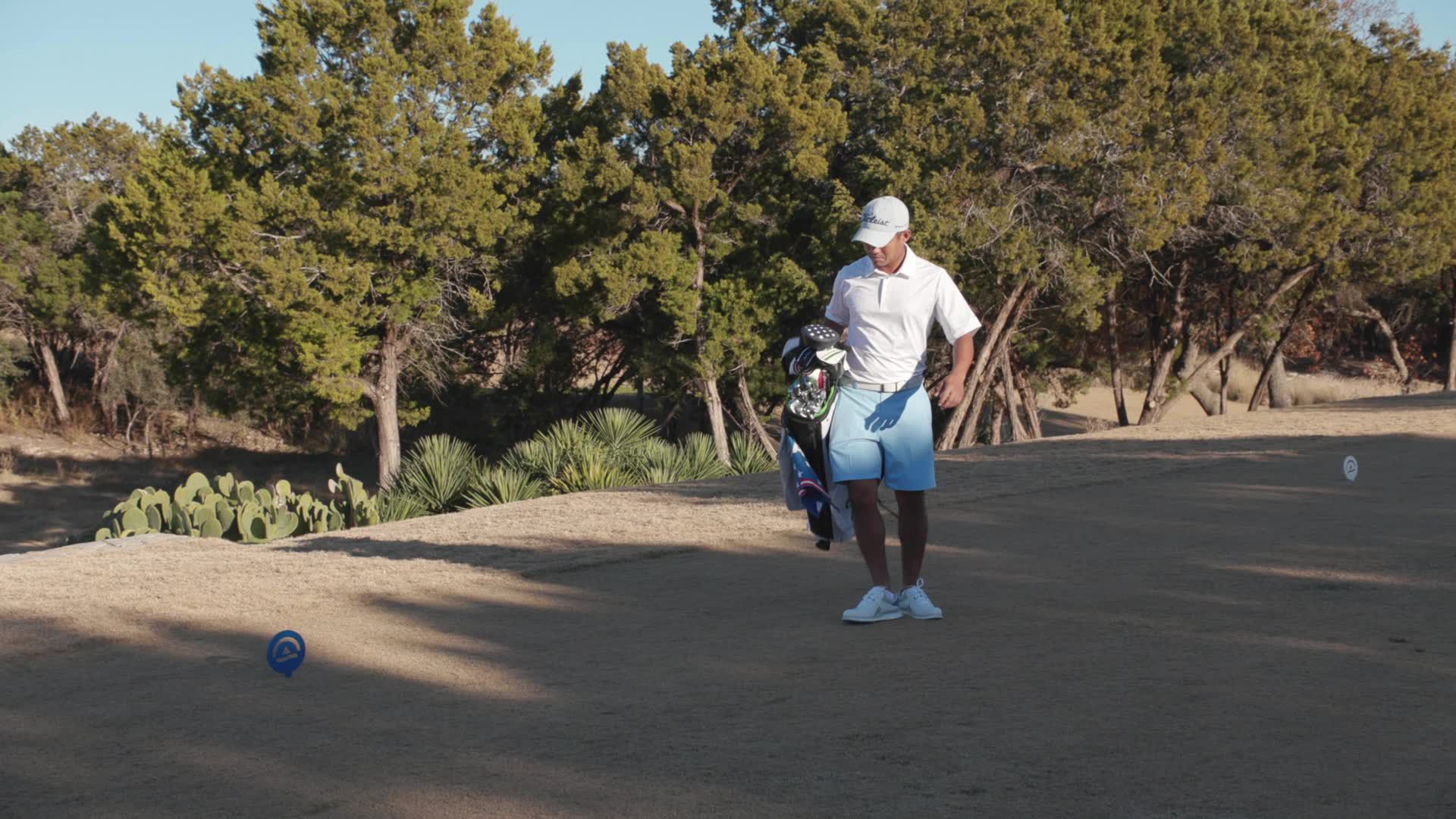 Walter Hagen Men's Performance 11 Golf Shorts product