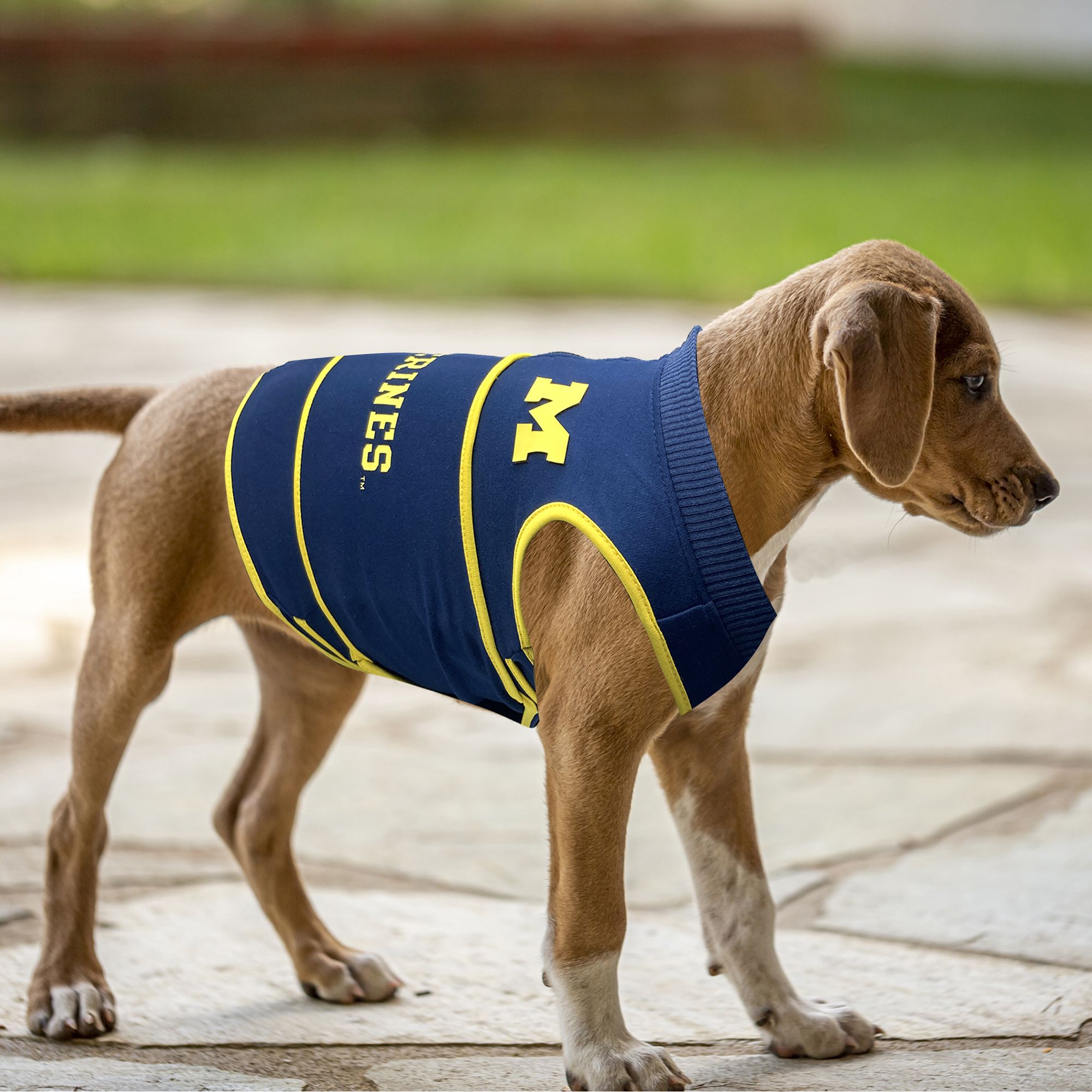 Pets First Michigan Wolverines Soothing Solution Vest product image