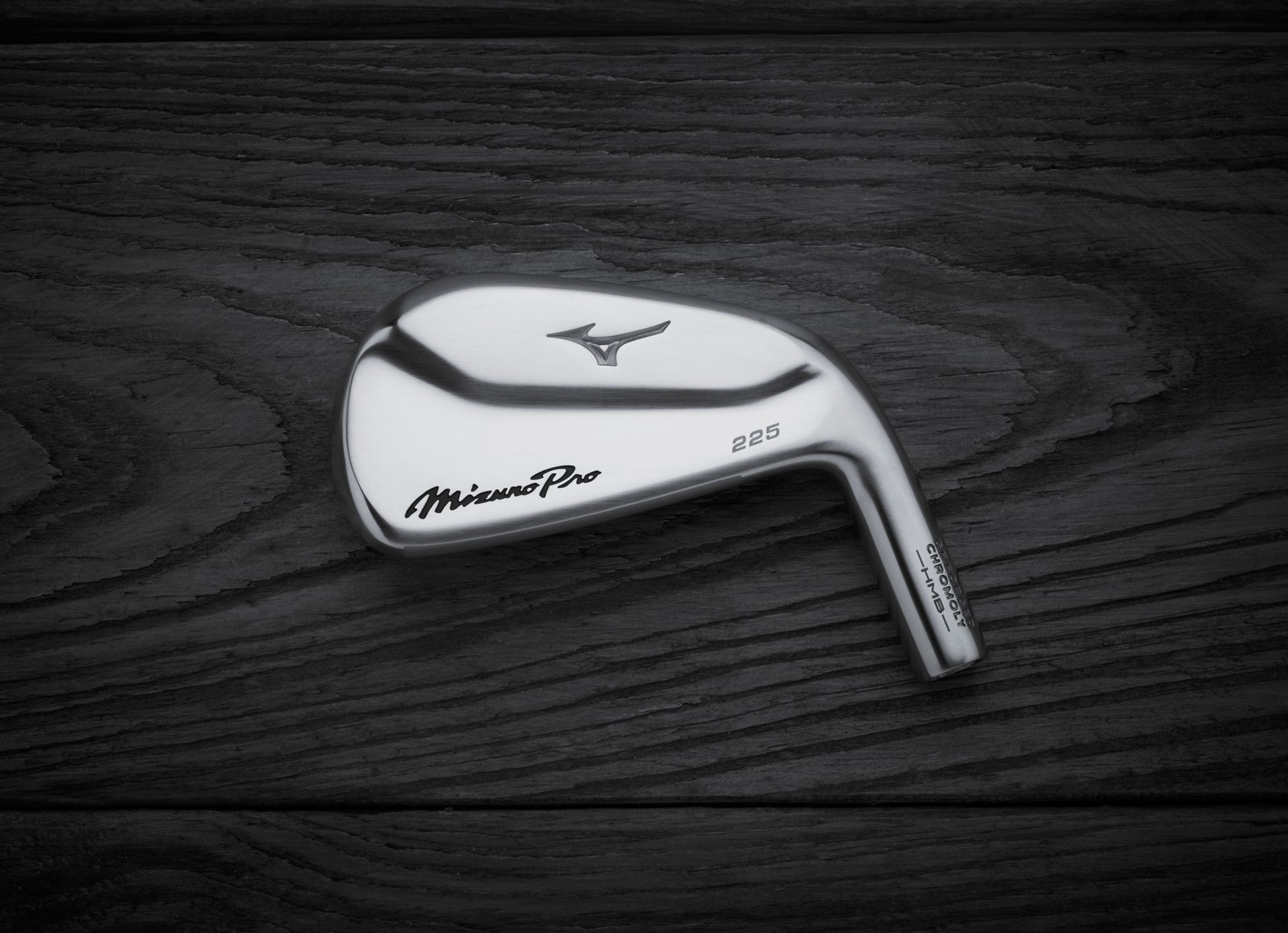 Mizuno Pro 225 Custom Irons product image