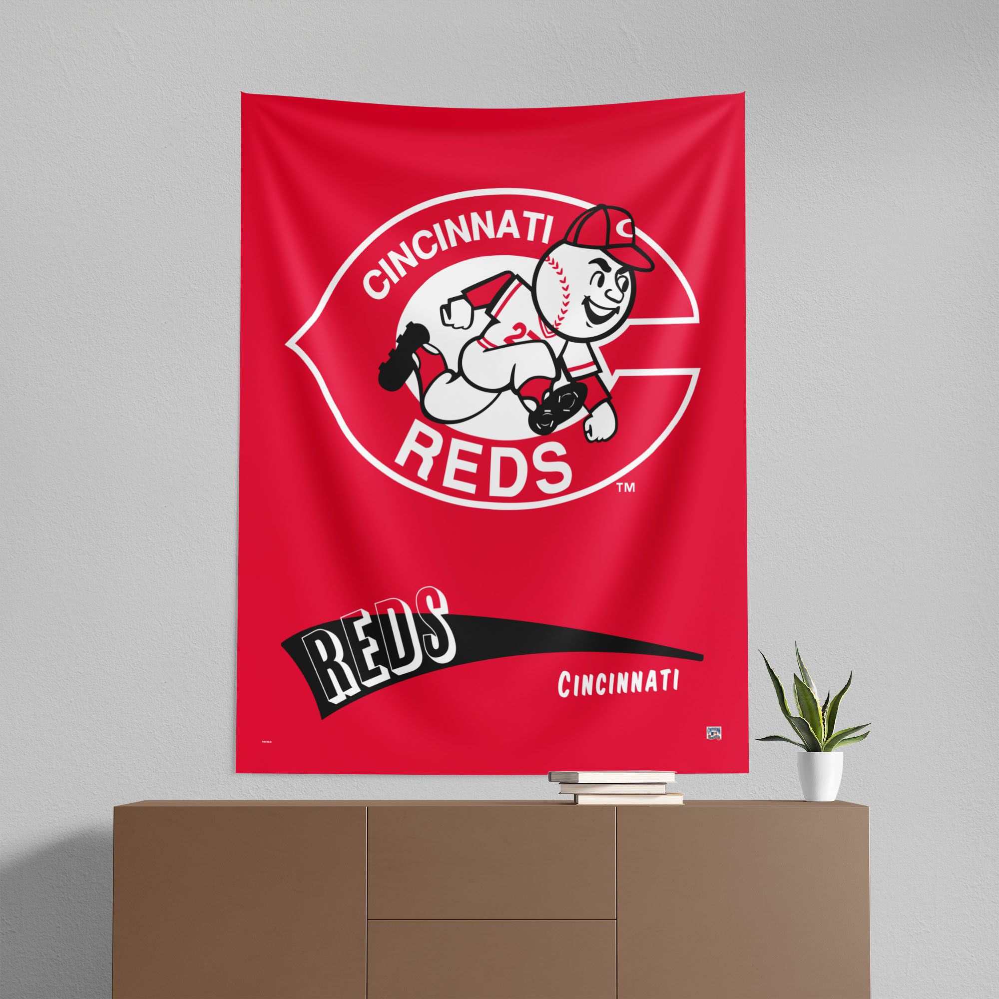 Northwest Cincinnati Reds City Connect Throwback Wall Hang product image