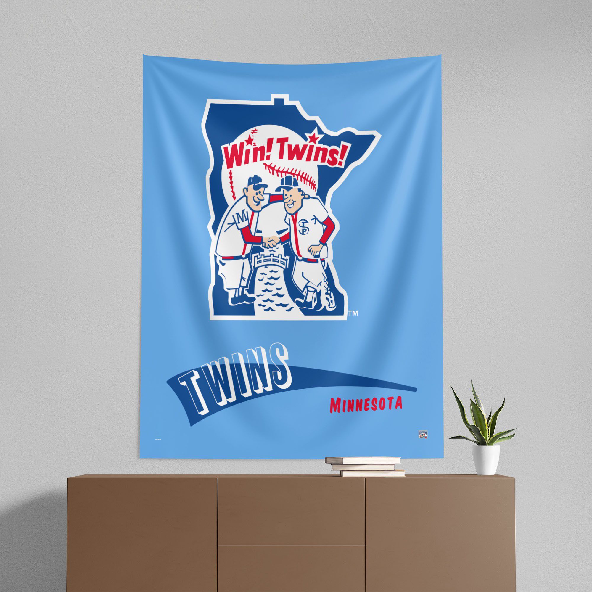 Northwest Minnesota Twins City Connect Throwback Wall Hang product image