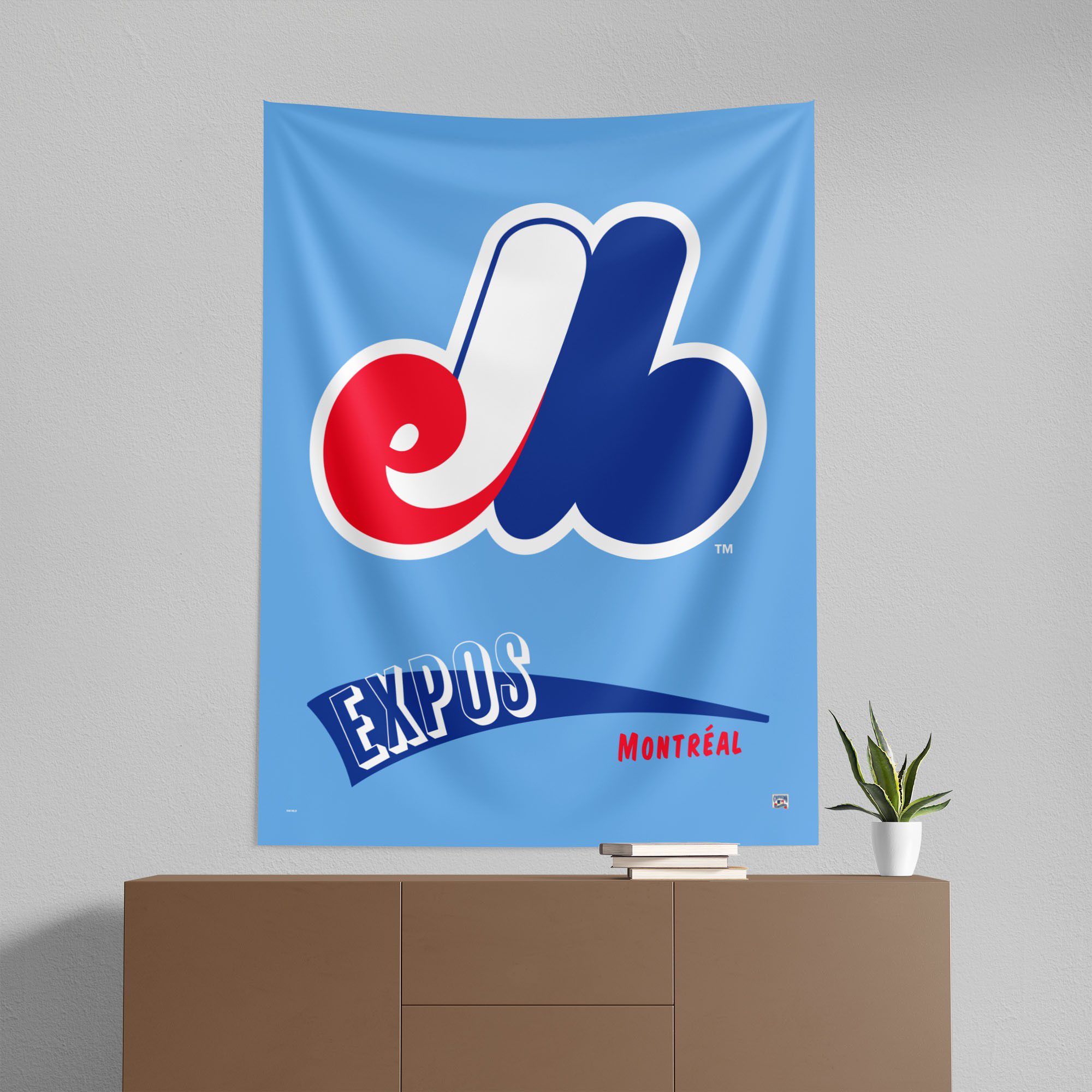 Northwest Montreal Expos City Connect Throwback Wall Hang product image