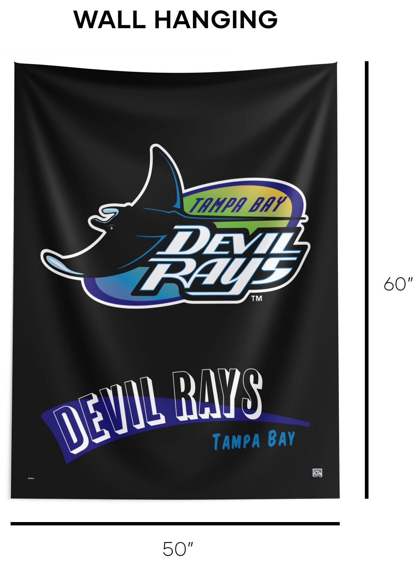 Northwest Tampa Bay Rays City Connect Throwback Wall Hang product image