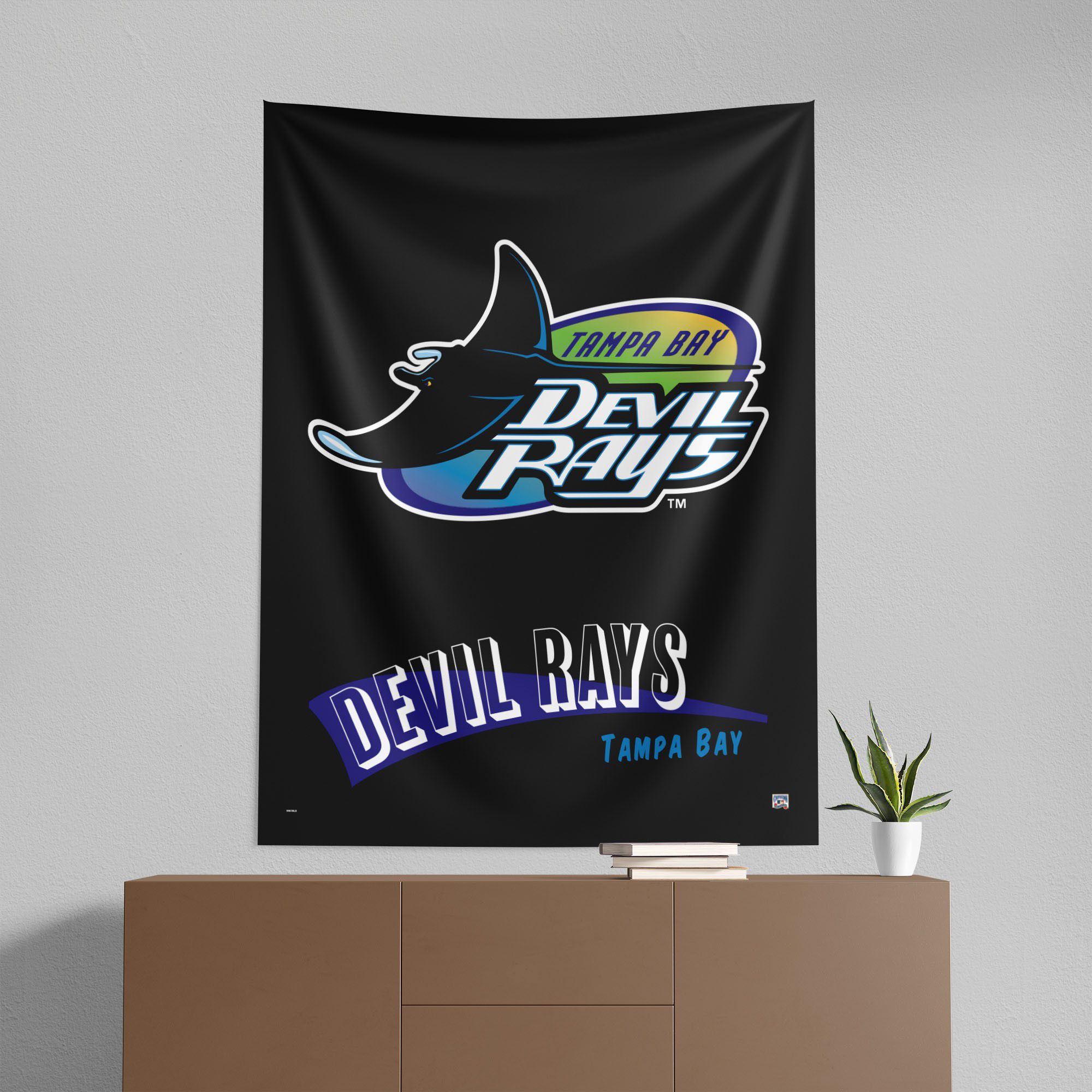 Northwest Tampa Bay Rays City Connect Throwback Wall Hang product image