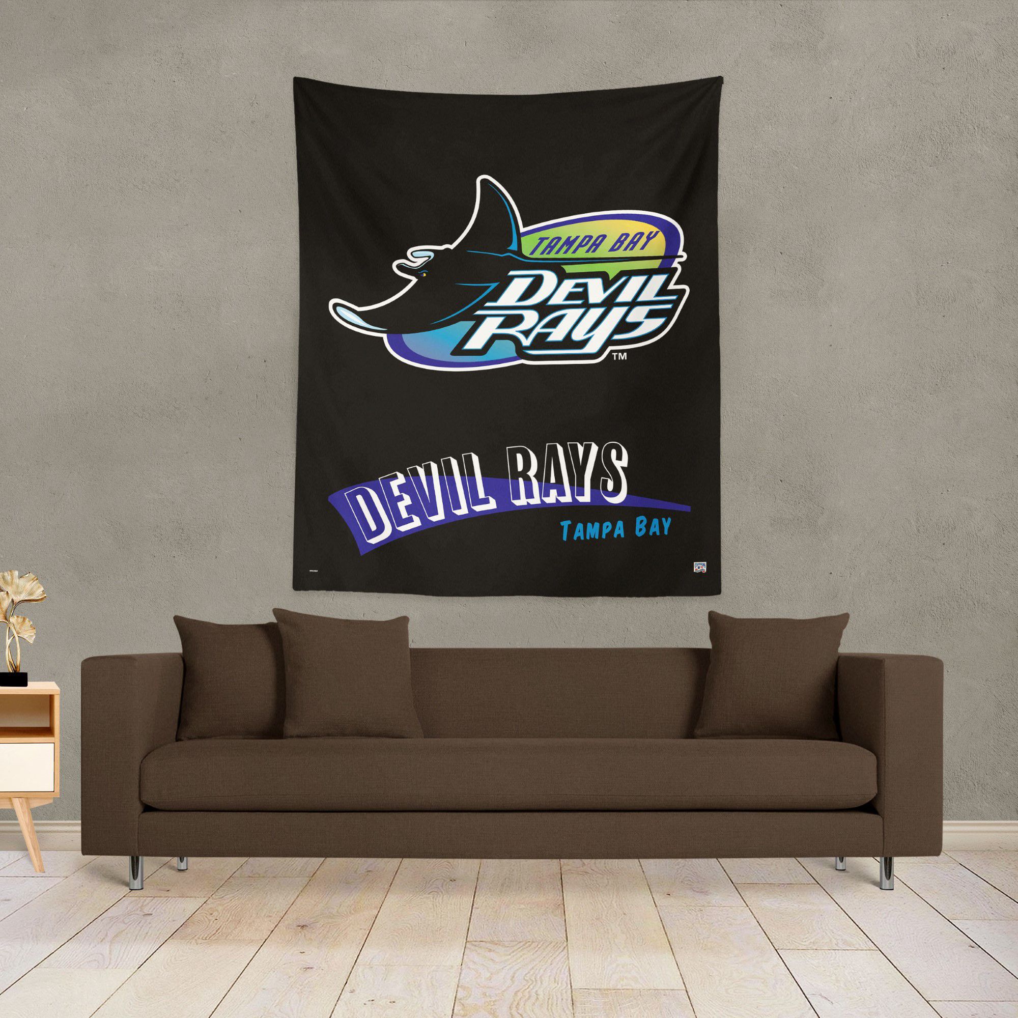 Northwest Tampa Bay Rays City Connect Throwback Wall Hang product image