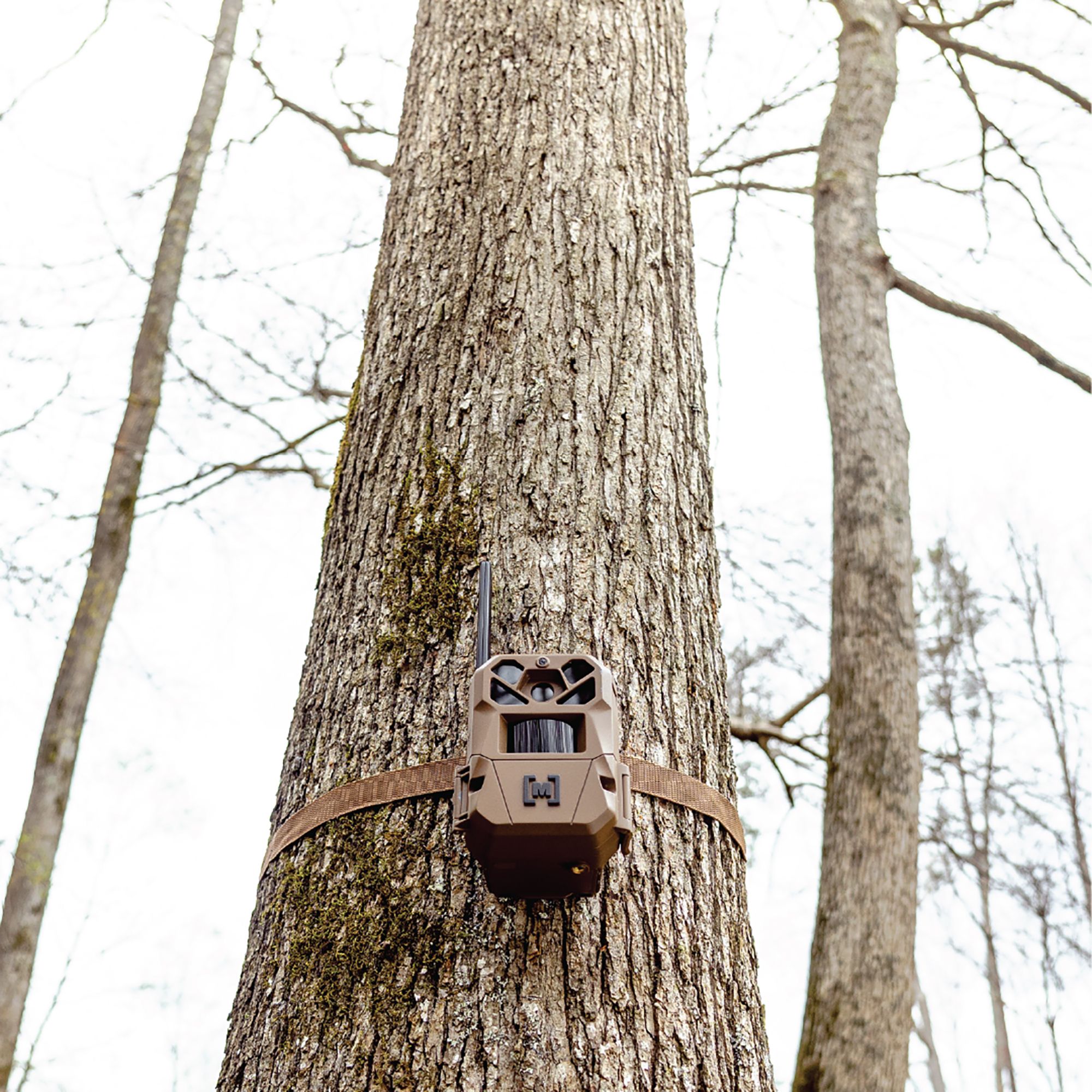 Moultrie Edge 3 Trail Camera Two Pack Combo product image
