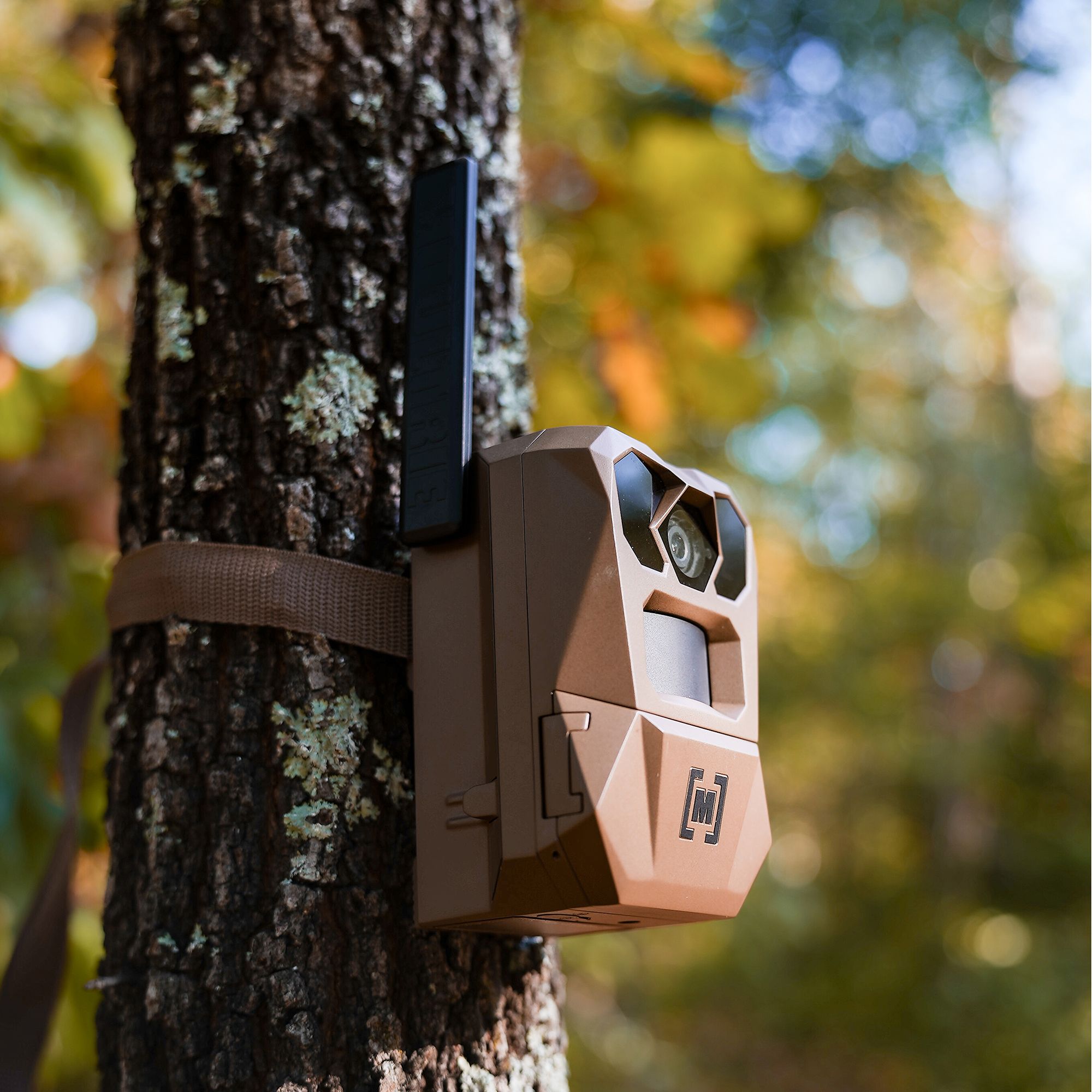 Moultrie Edge 4 - 2 Pack product image