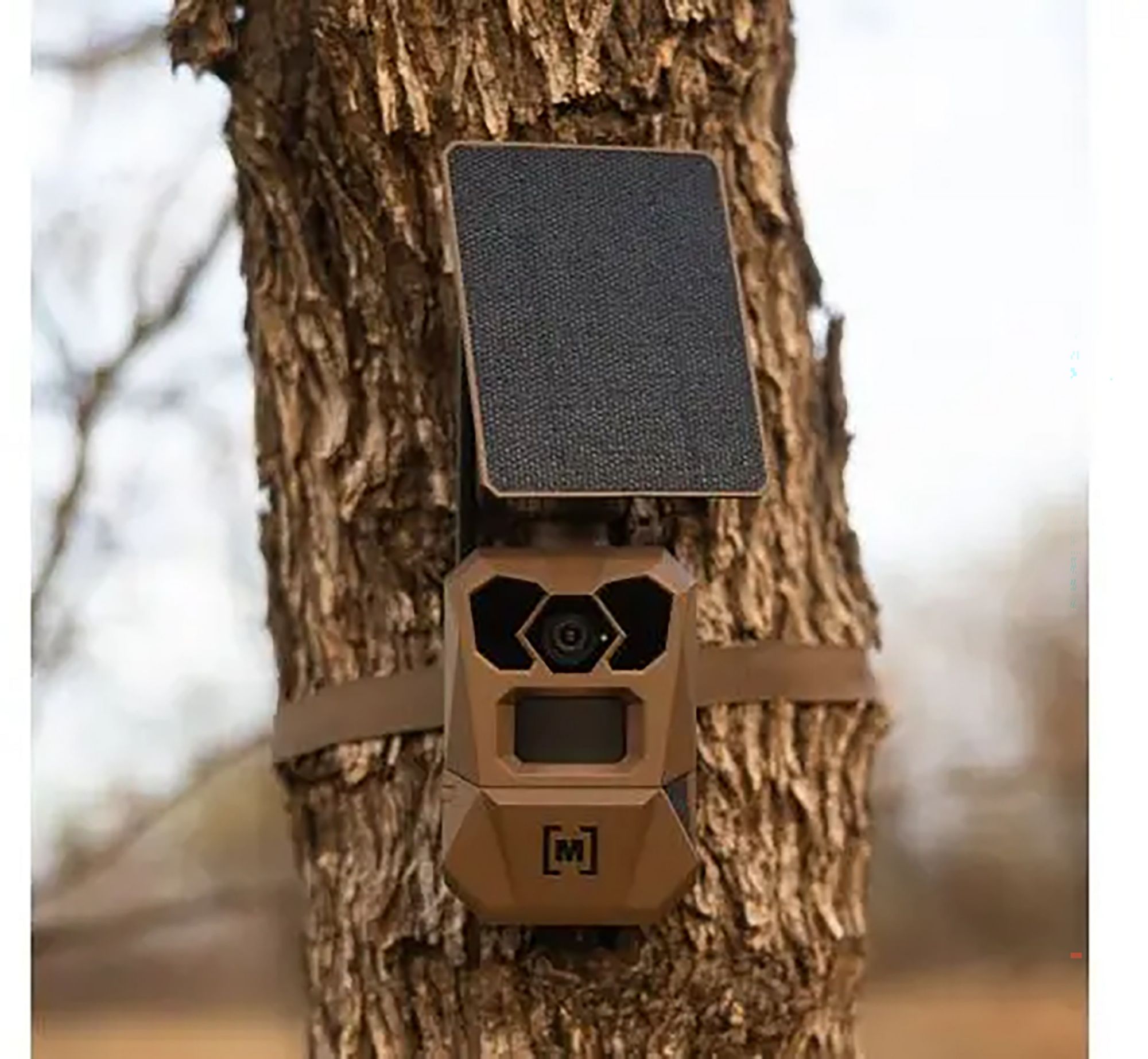 Moultrie Edge 4 Solar Trail Camera product image