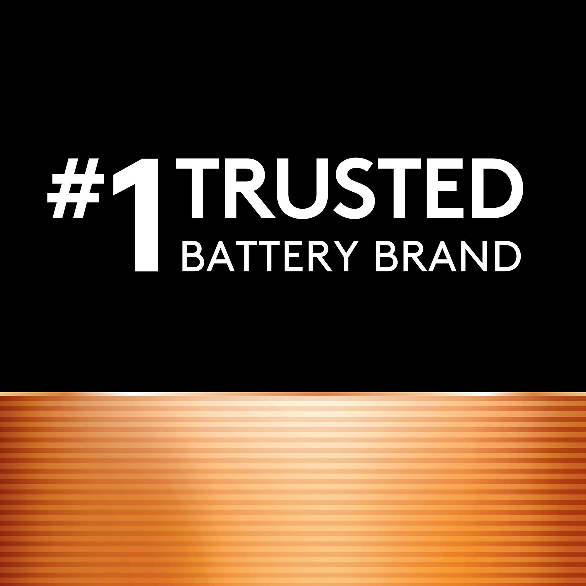 Duracell Coppertop D Alkaline Batteries – 2 Pack product image