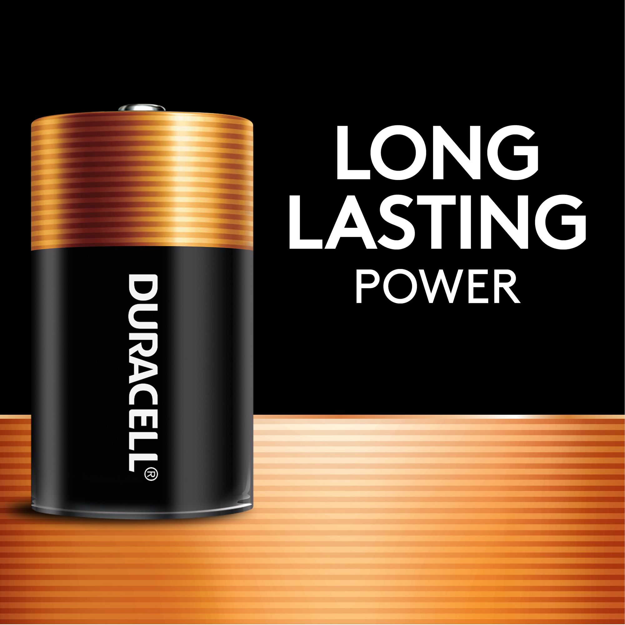 Duracell Coppertop D Alkaline Batteries – 2 Pack product image