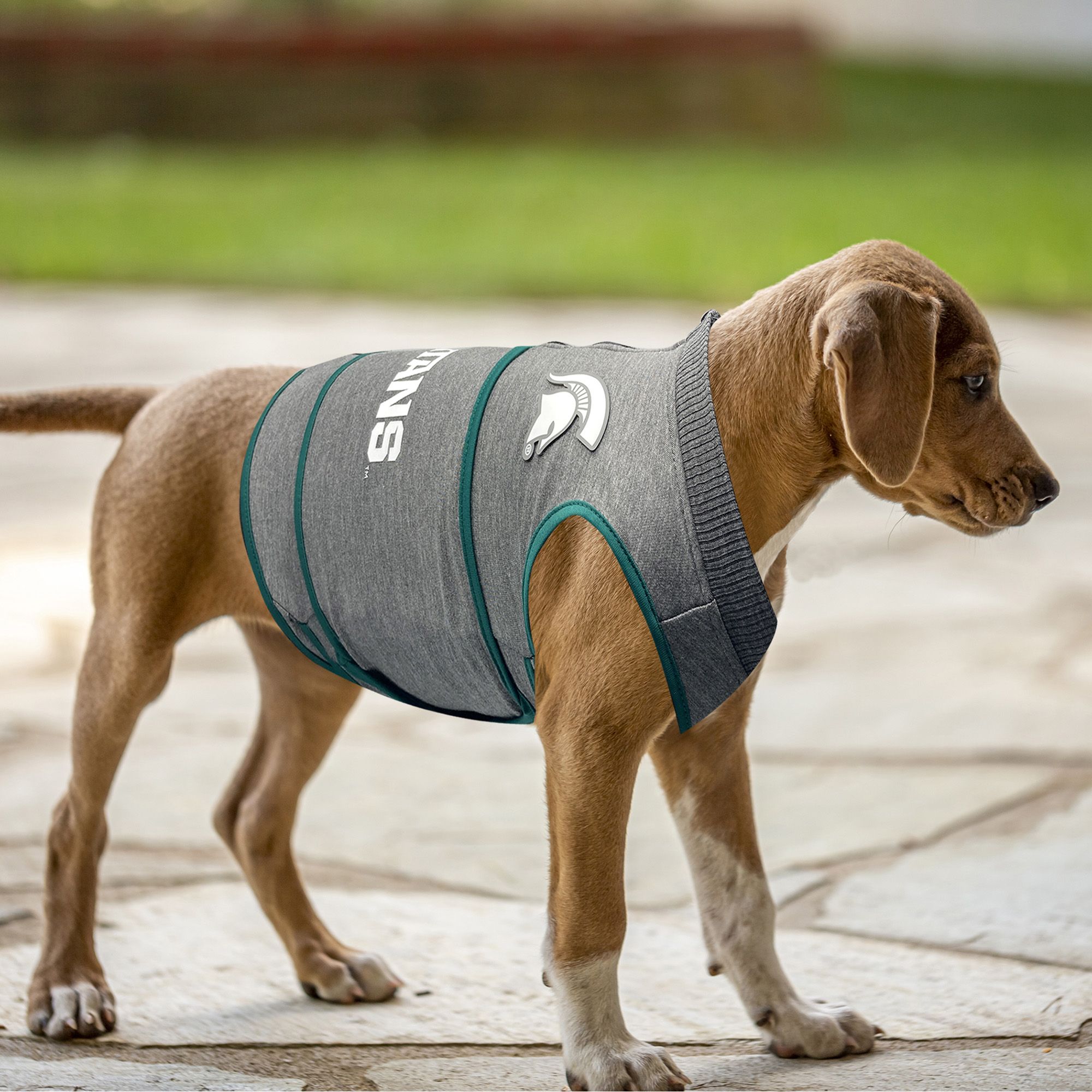 Pets First Michigan State Spartans Soothing Solution Vest product image