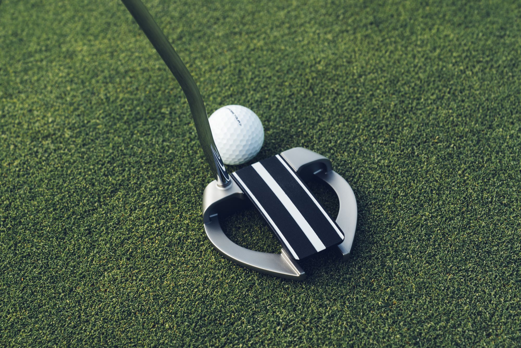 Odyssey Microhinge Marxman Fang Putter product image