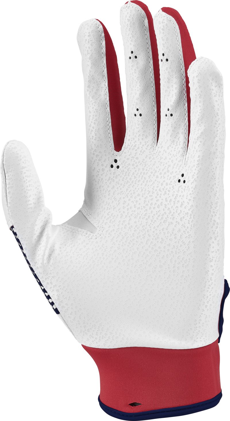 Nike Women's Hyperdiamond 2.0 Batting Gloves