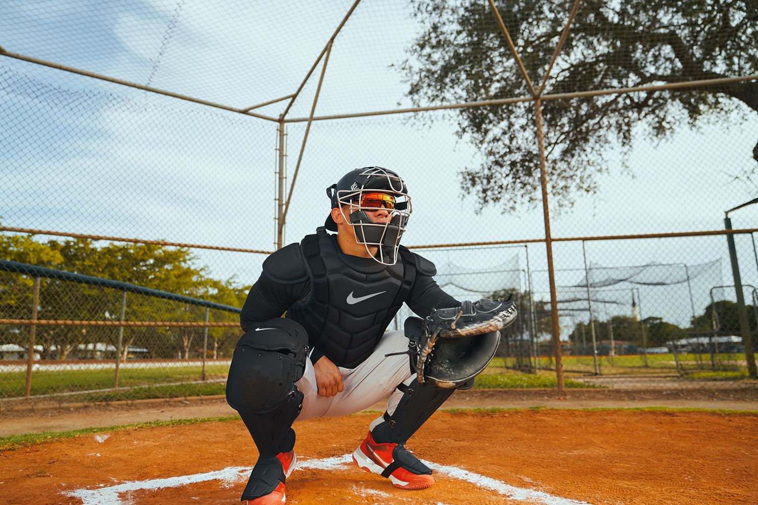 Nike Diamond Elite Catcher's Leg Guards