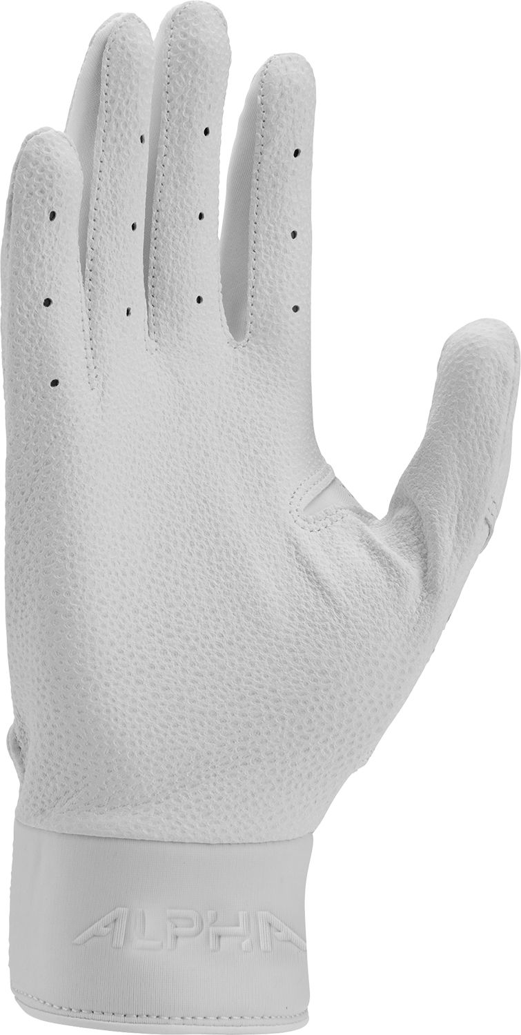 Nike Alpha Varsity Batting Gloves product image