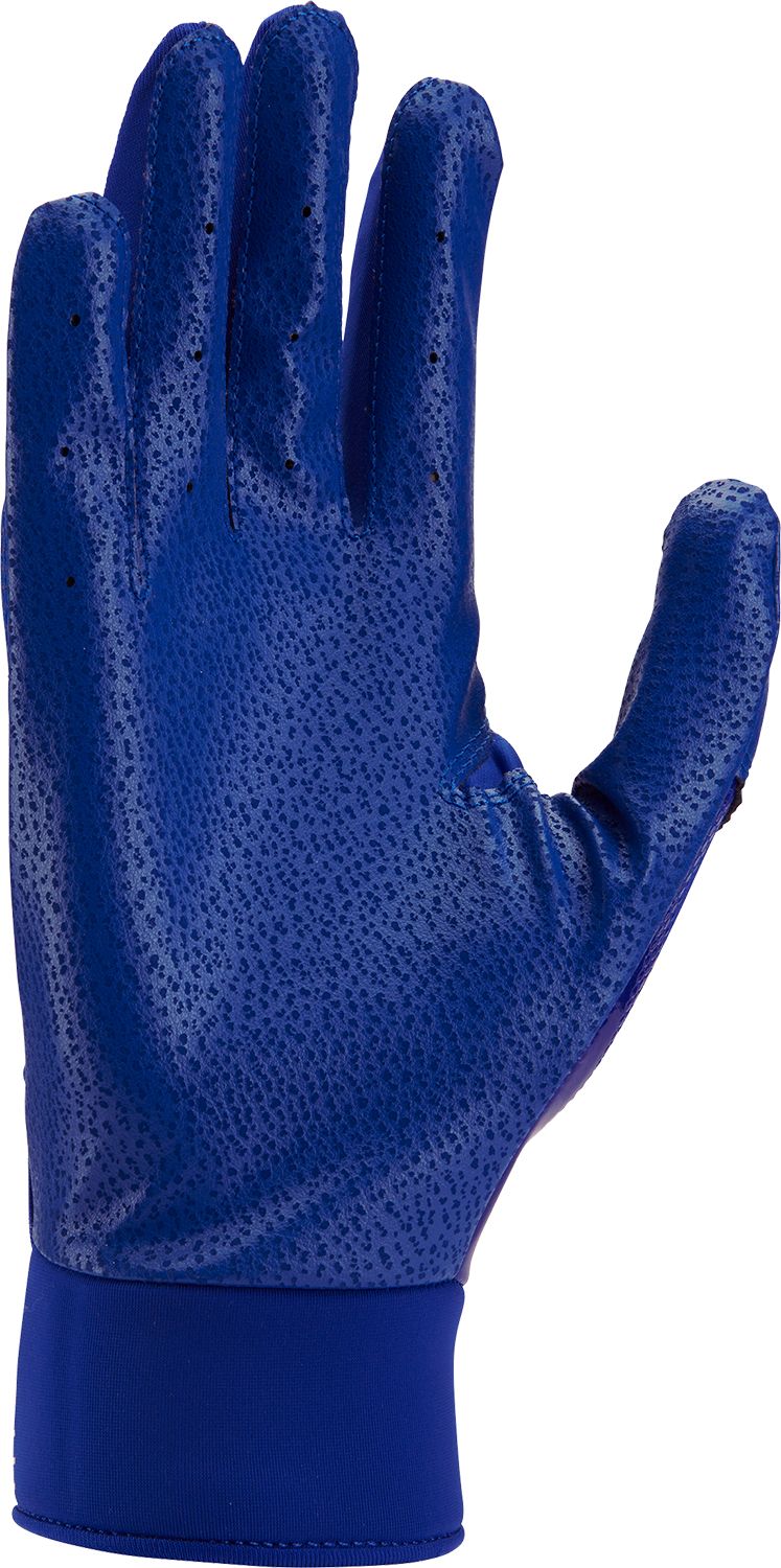 Nike Adult Alpha Batting Gloves product image