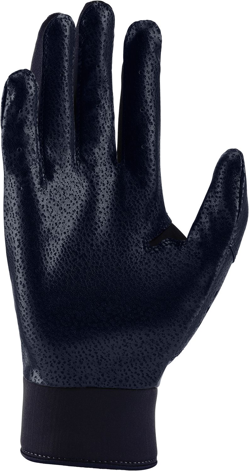 Nike Adult Alpha Batting Gloves product image