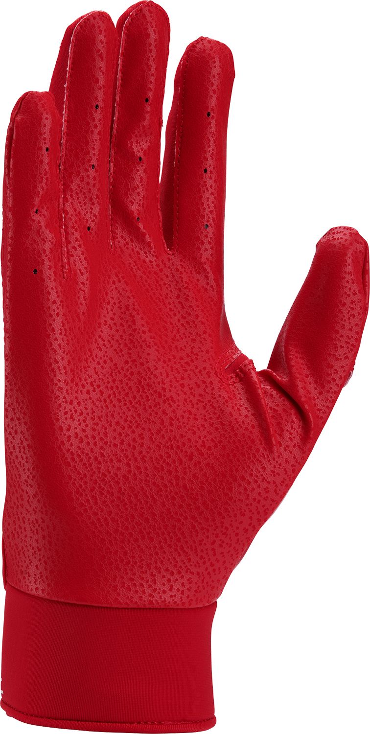 Nike Adult Alpha Batting Gloves product image