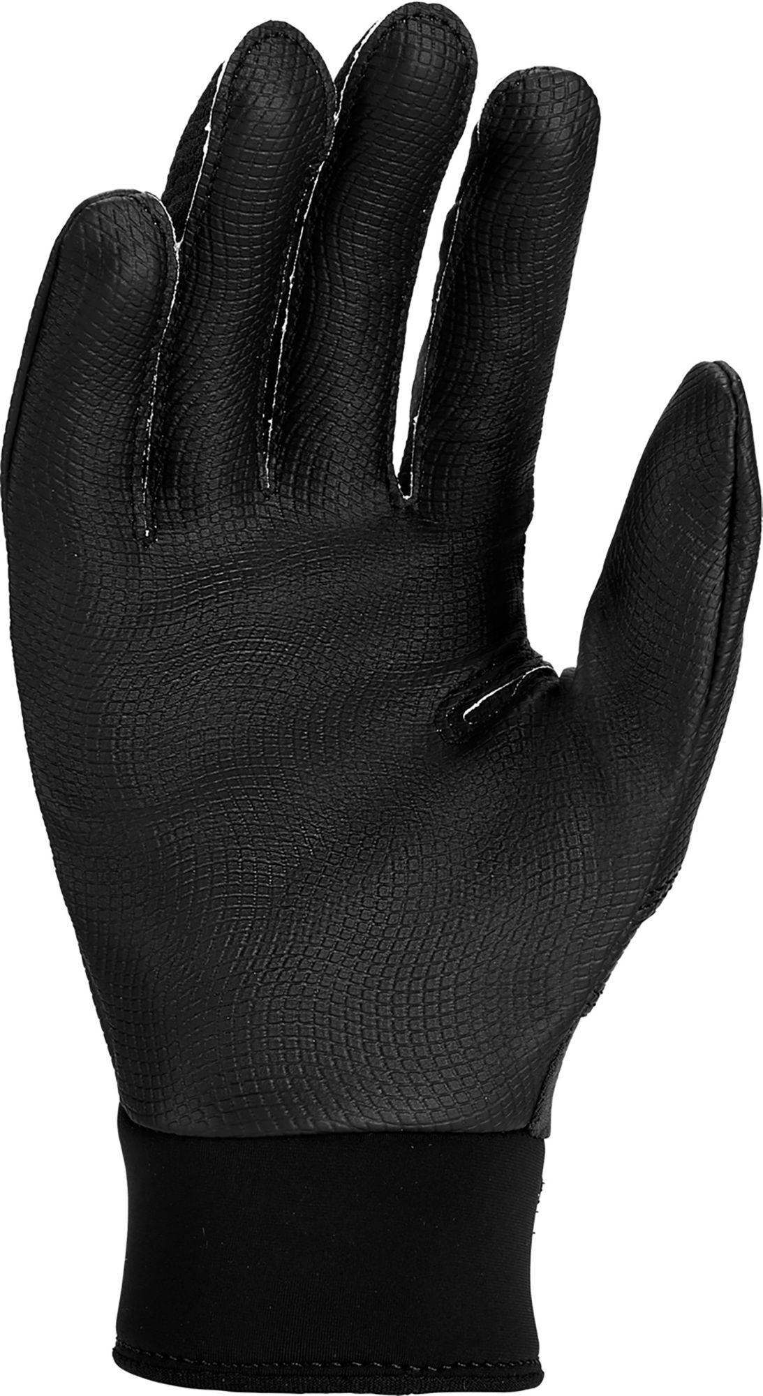 Nike Youth Alpha 2.0 Batting Gloves product image