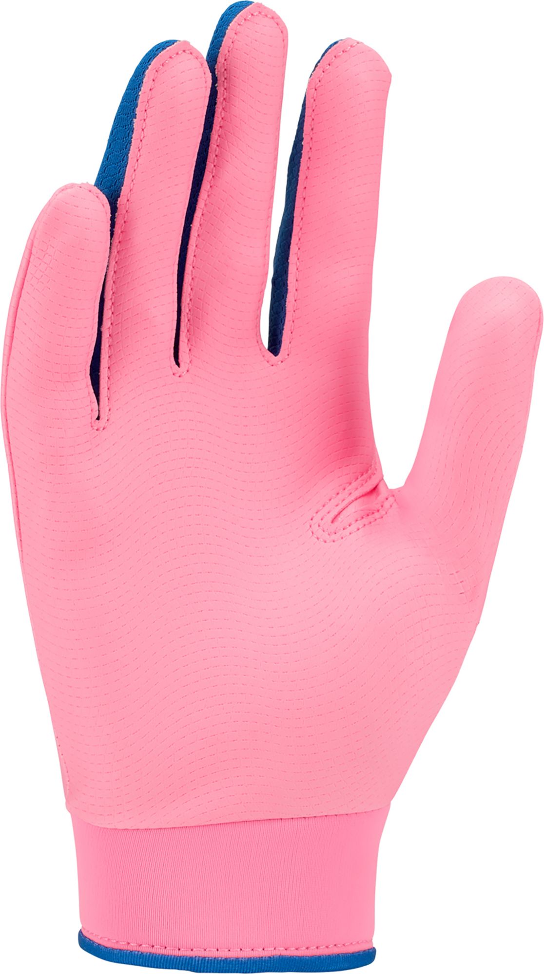 Nike Youth Alpha 2.0 Batting Gloves product image