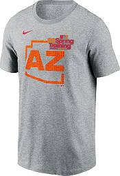 Nike Men's Gray 2023 Spring Training Cactus League T-Shirt product image