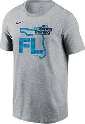 Nike Men's Gray 2023 Spring Training Grapefruit League T-Shirt product image