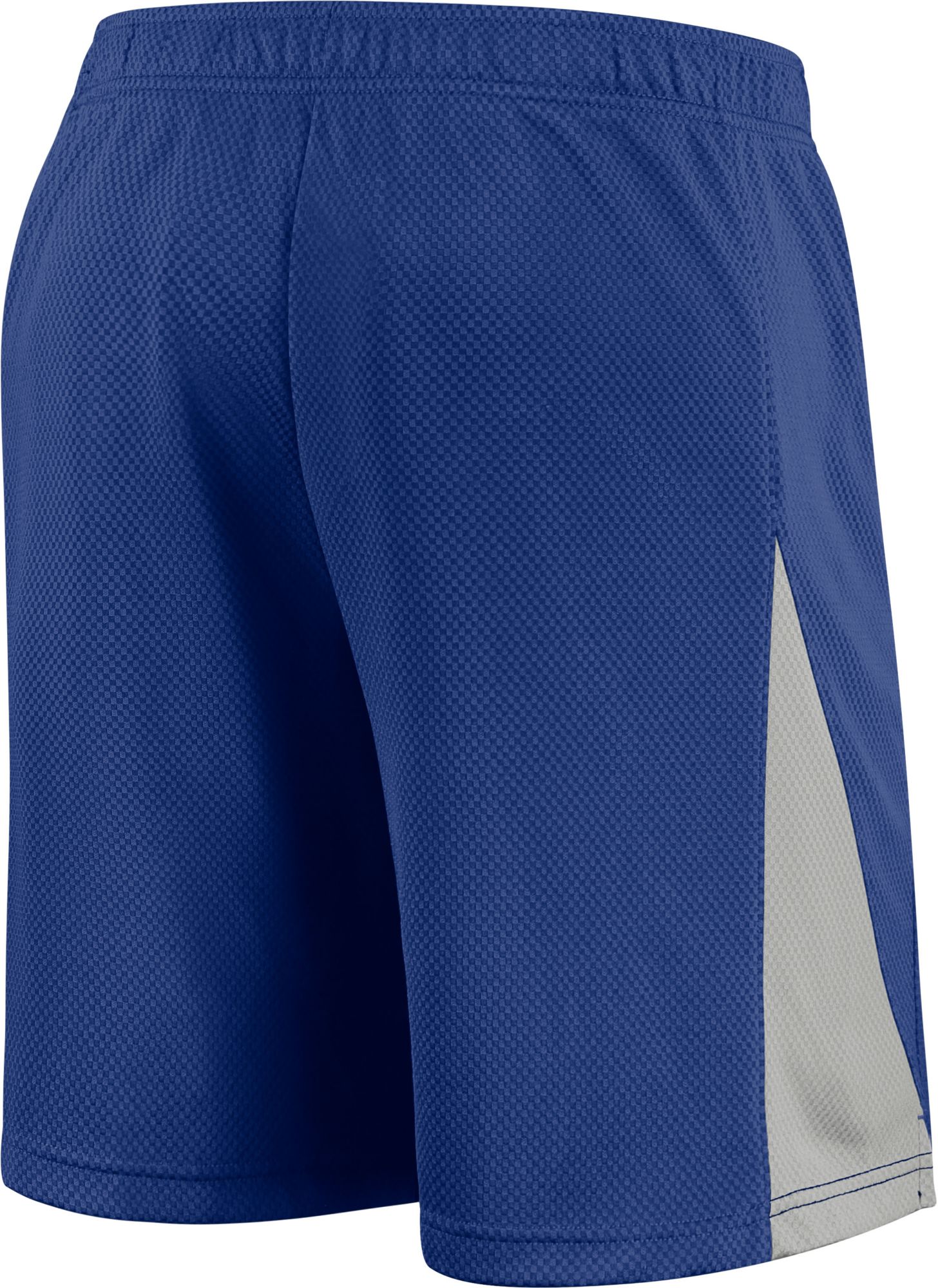 Nike Men's Los Angeles Dodgers Franchise Blue Shorts product image