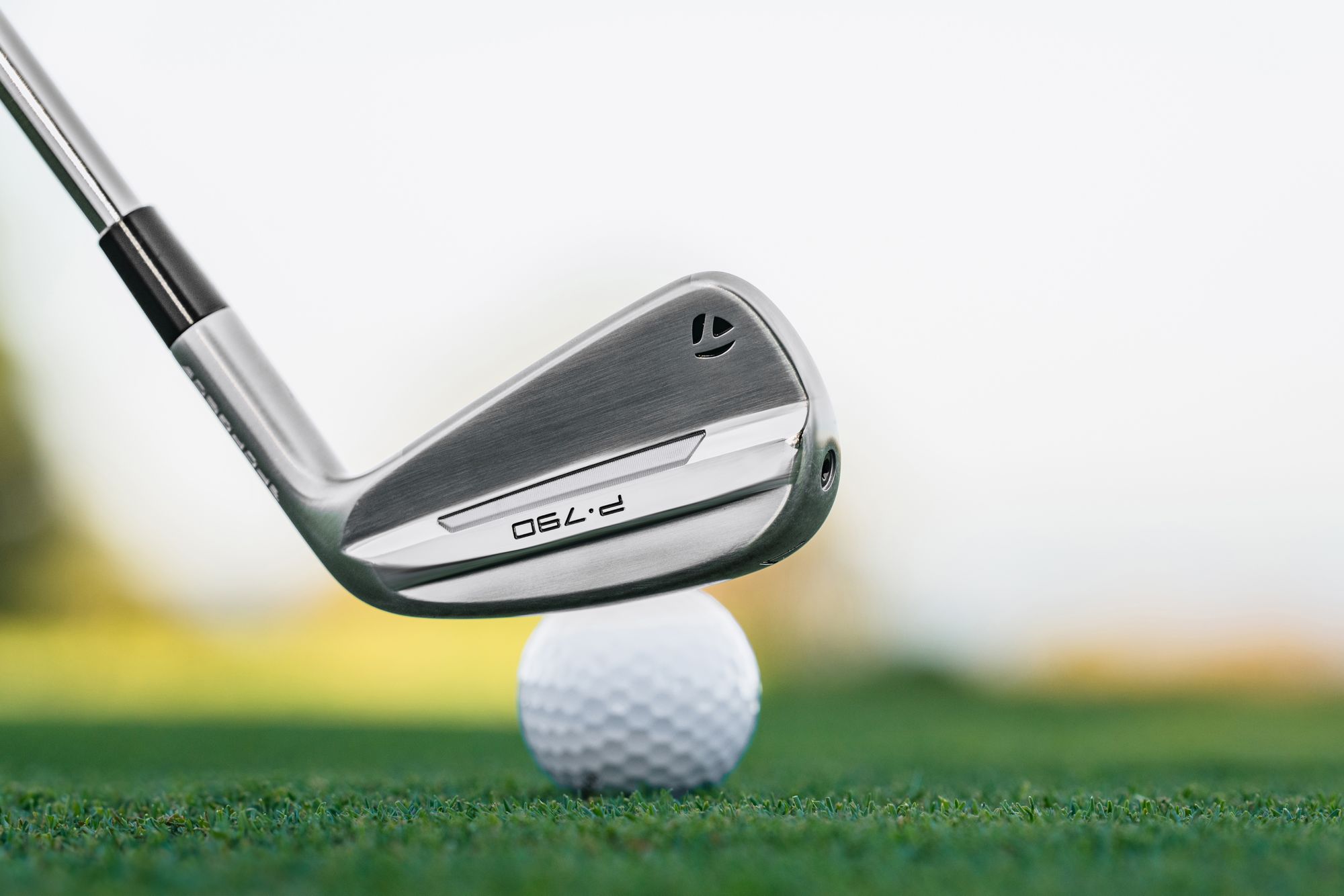 Used TaylorMade P790 Irons product image